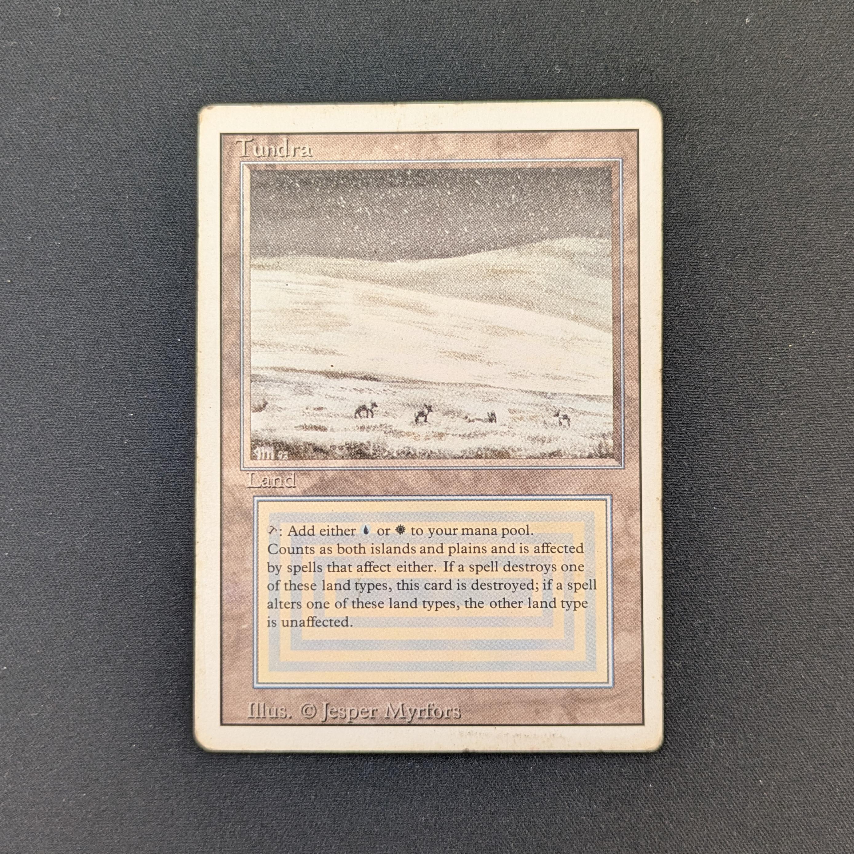 MTG Singles - Tundra - Revised - PL - 29134