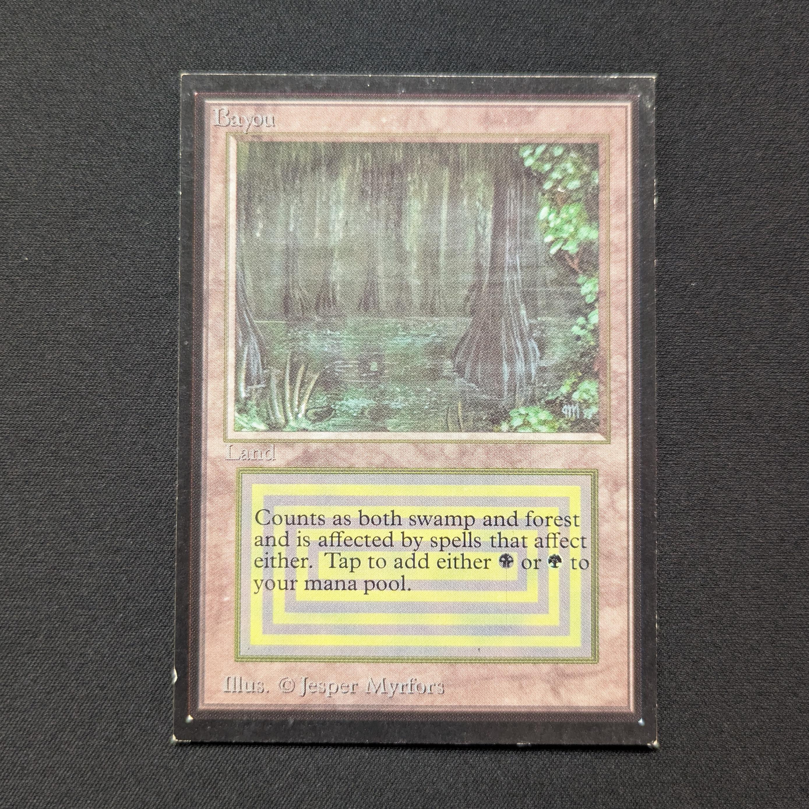 MTG Singles - Bayou - International Edition -