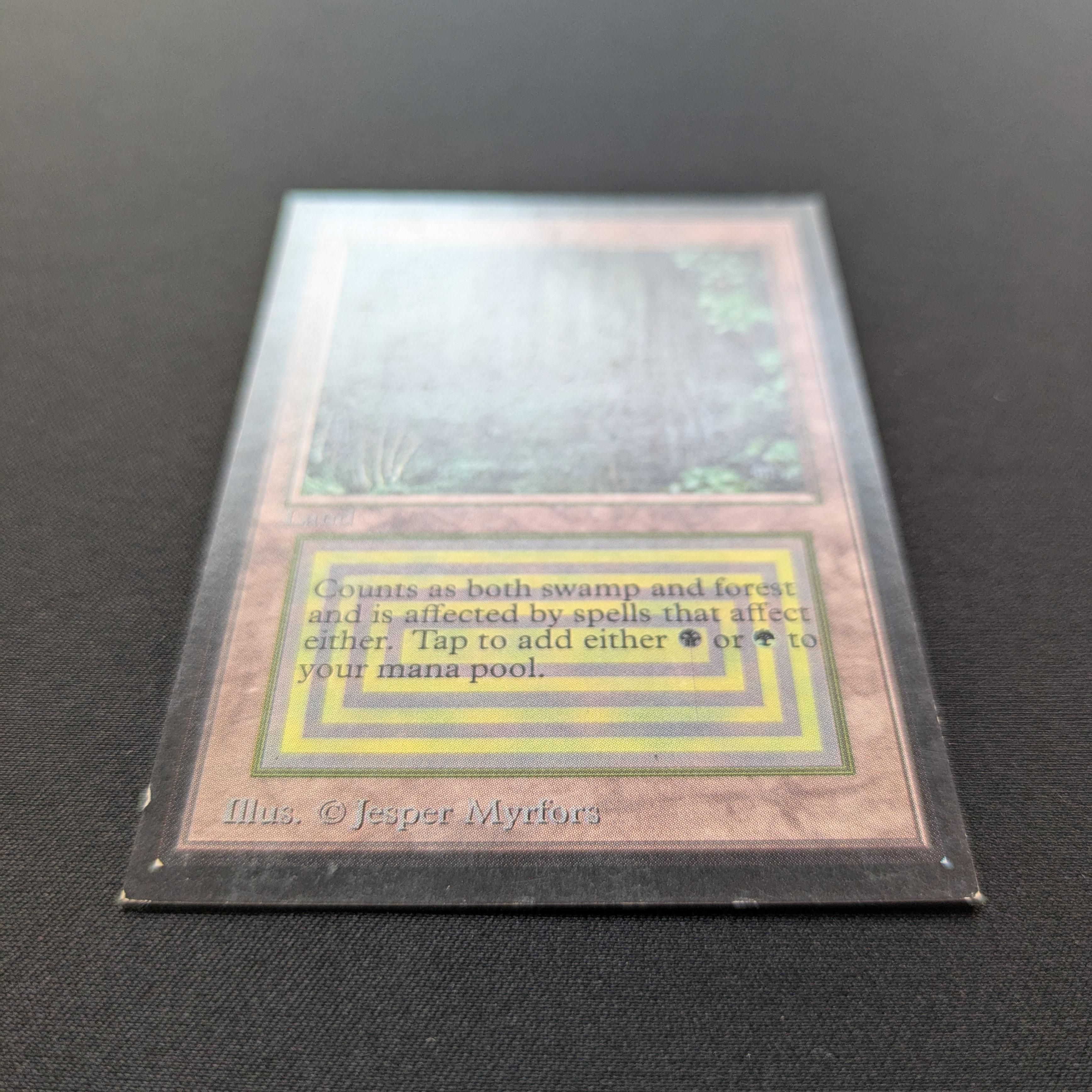 MTG Singles - Bayou - International Edition -