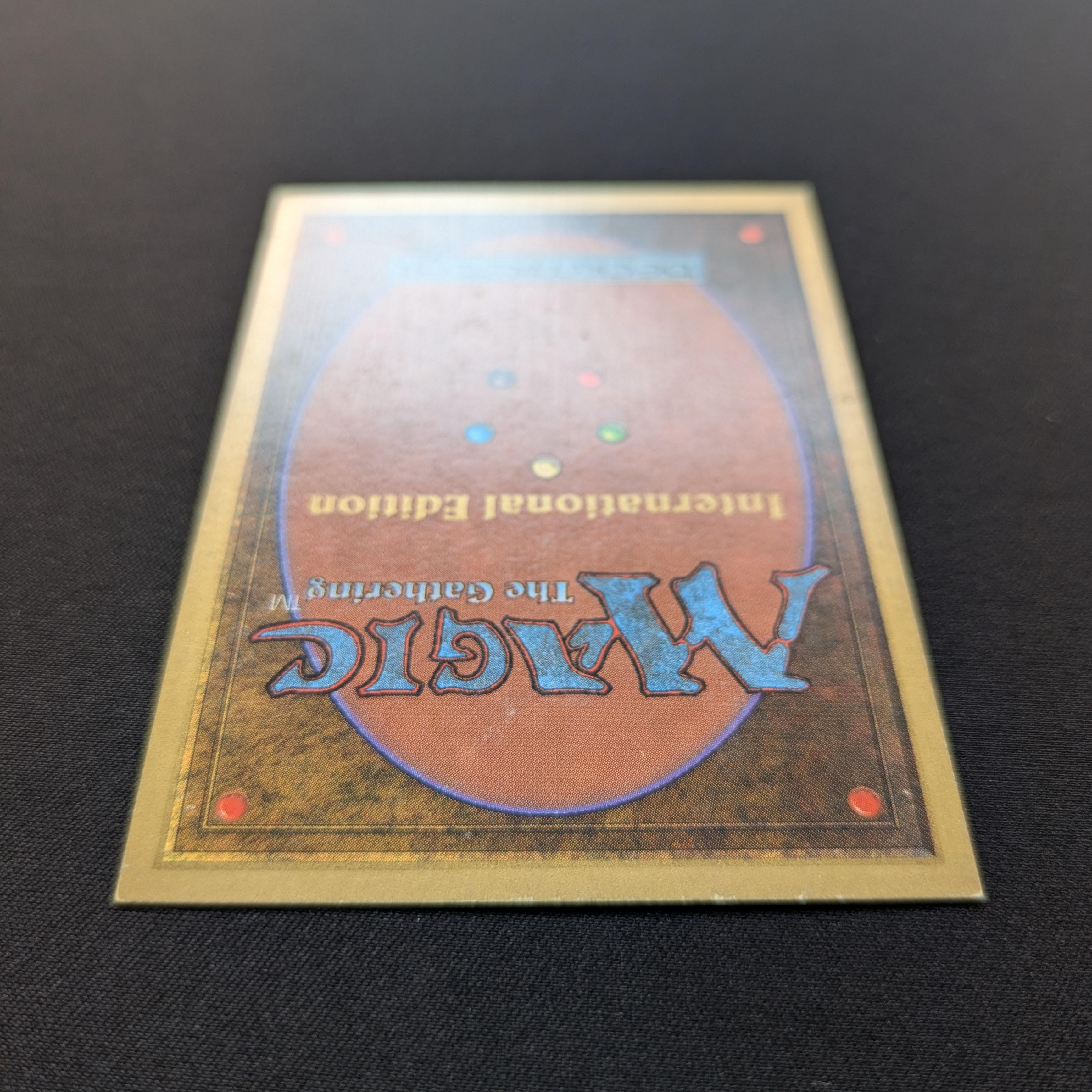 MTG Singles - Bayou - International Edition -