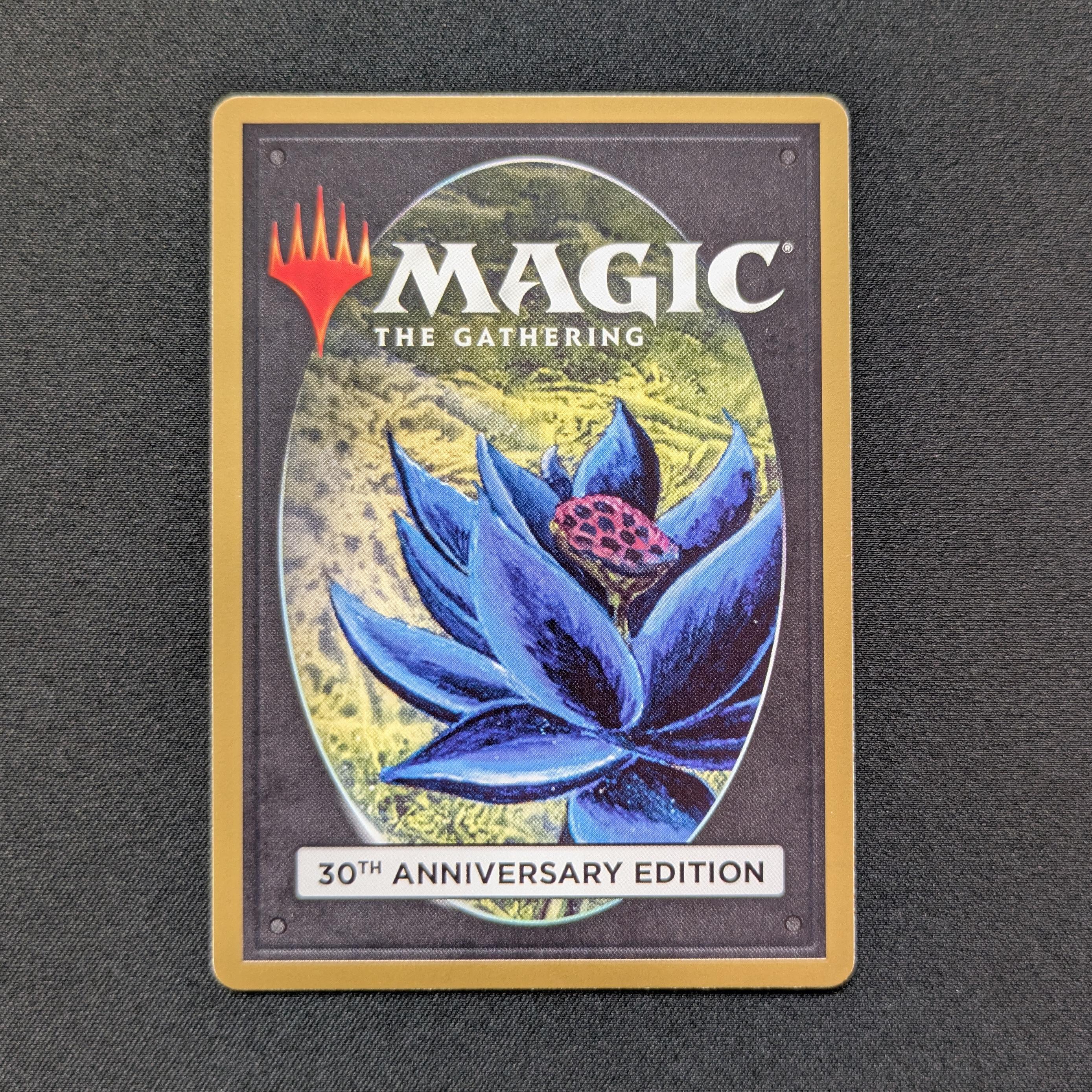 MTG Singles - Shivan Dragon (Retro Frame) - 30th Anniversary Edition -