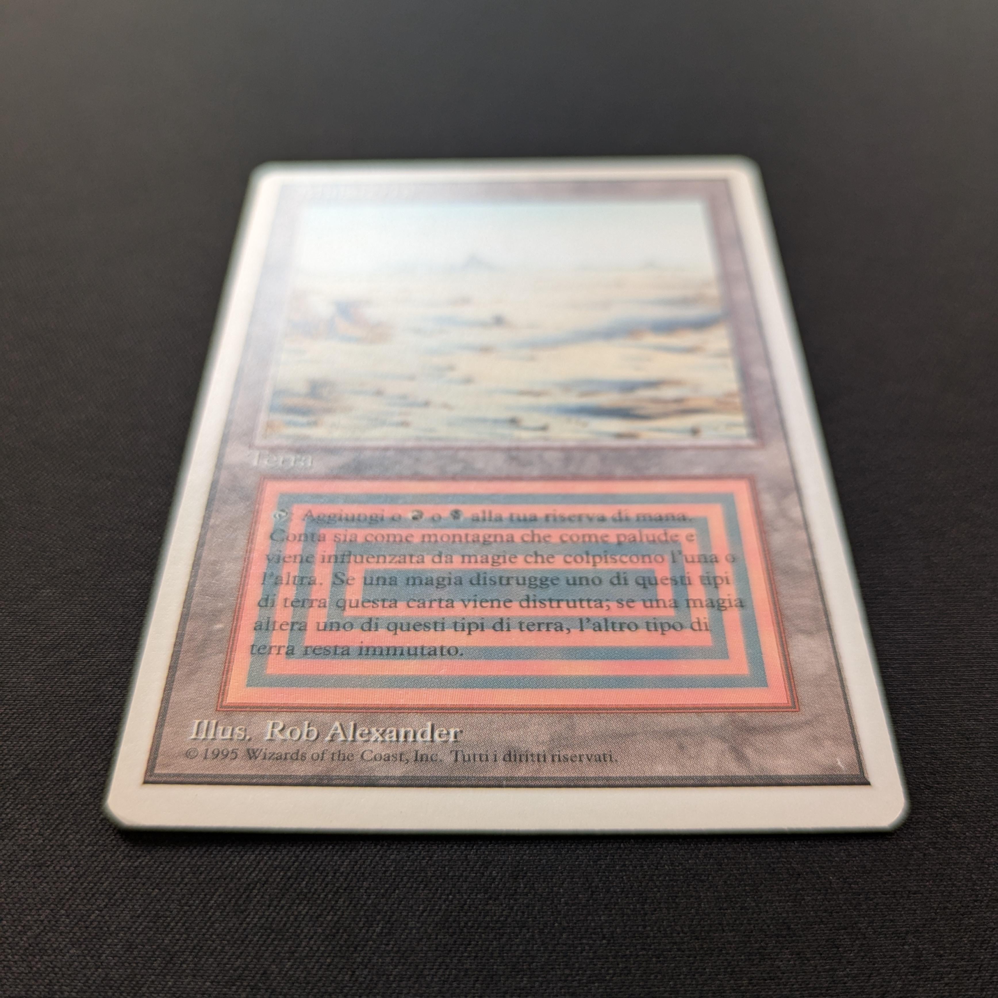 MTG Singles - Badlands - Foreign White Bordered -