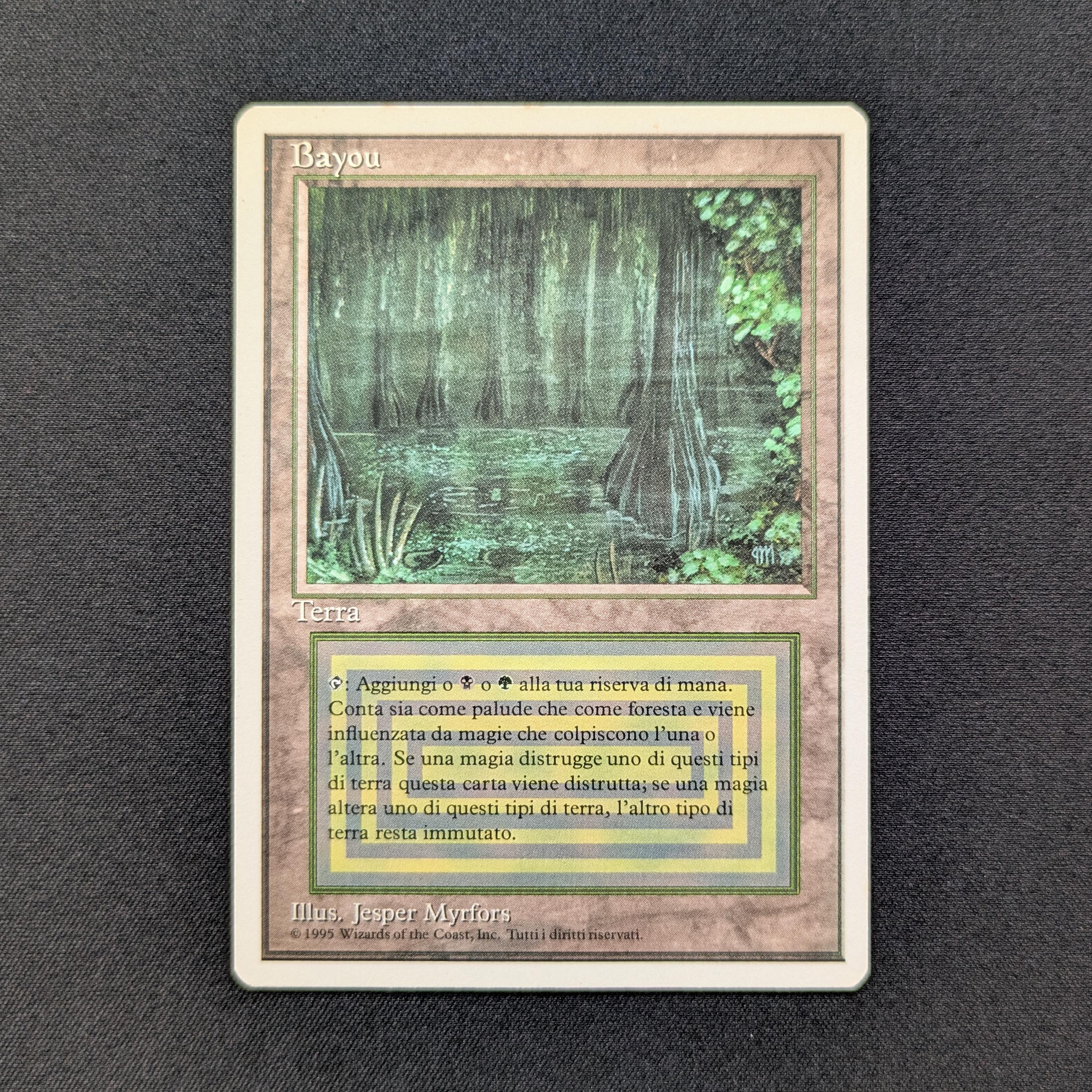MTG Singles - Bayou - Foreign White Bordered -