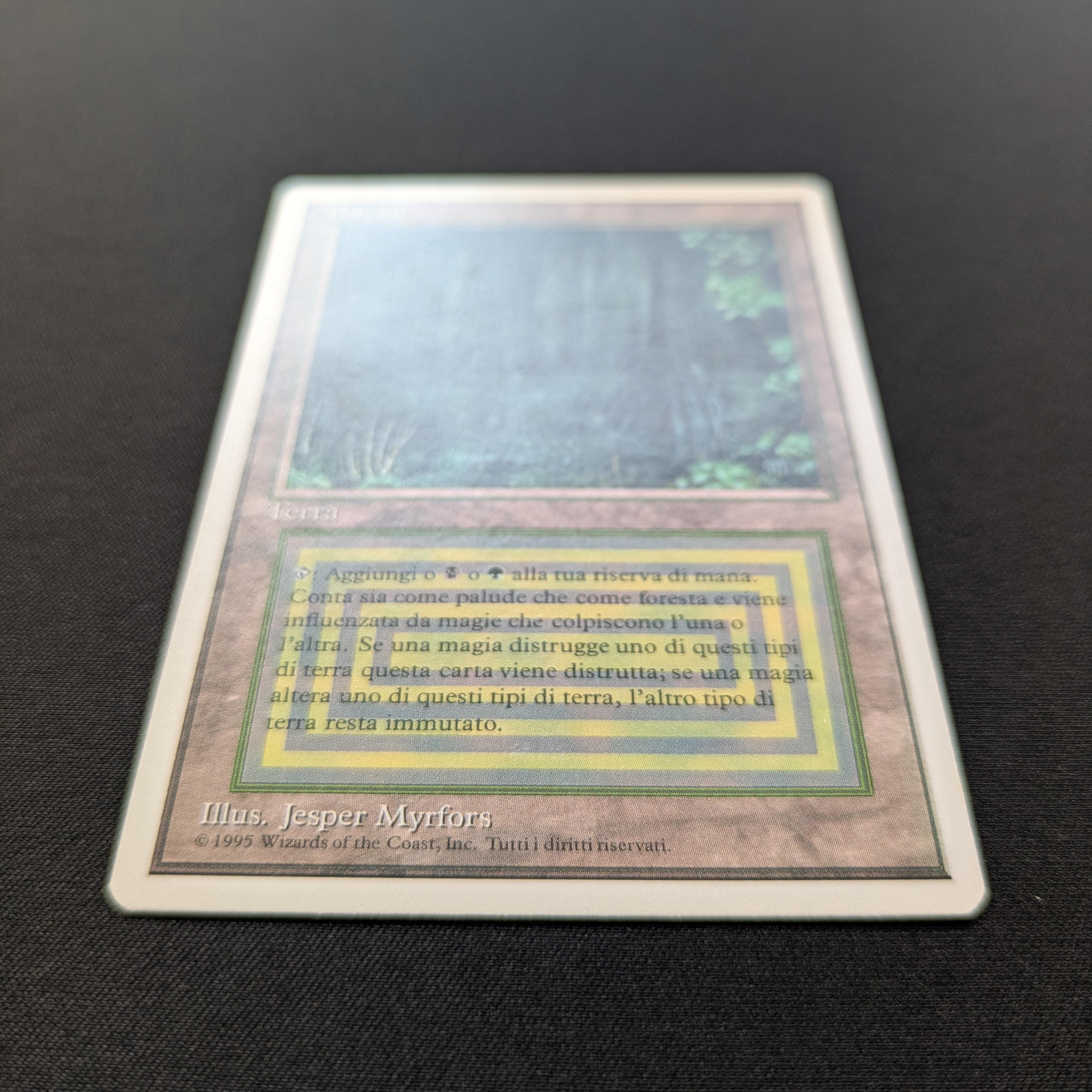 MTG Singles - Bayou - Foreign White Bordered -