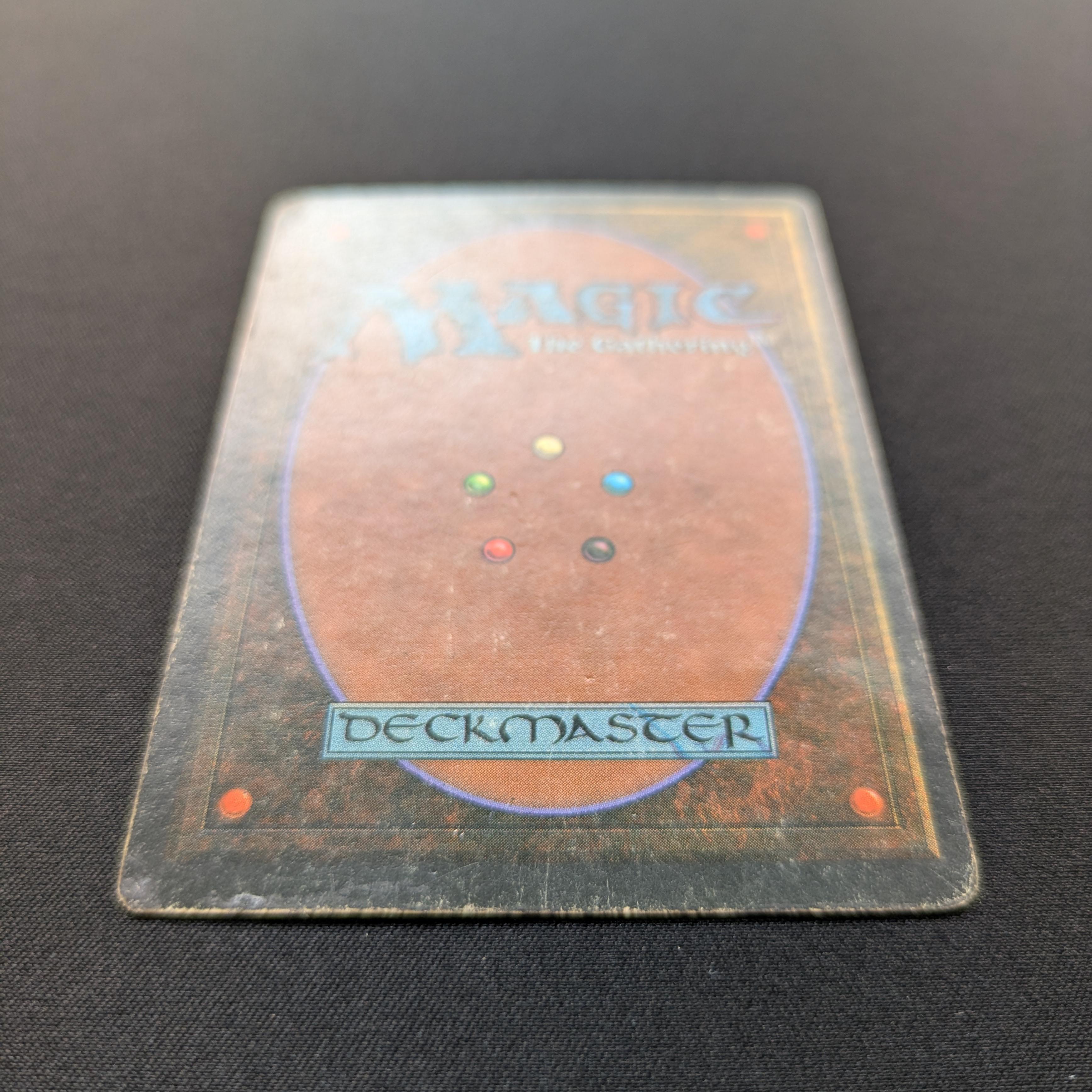 MTG Singles - Bayou - Foreign White Bordered -