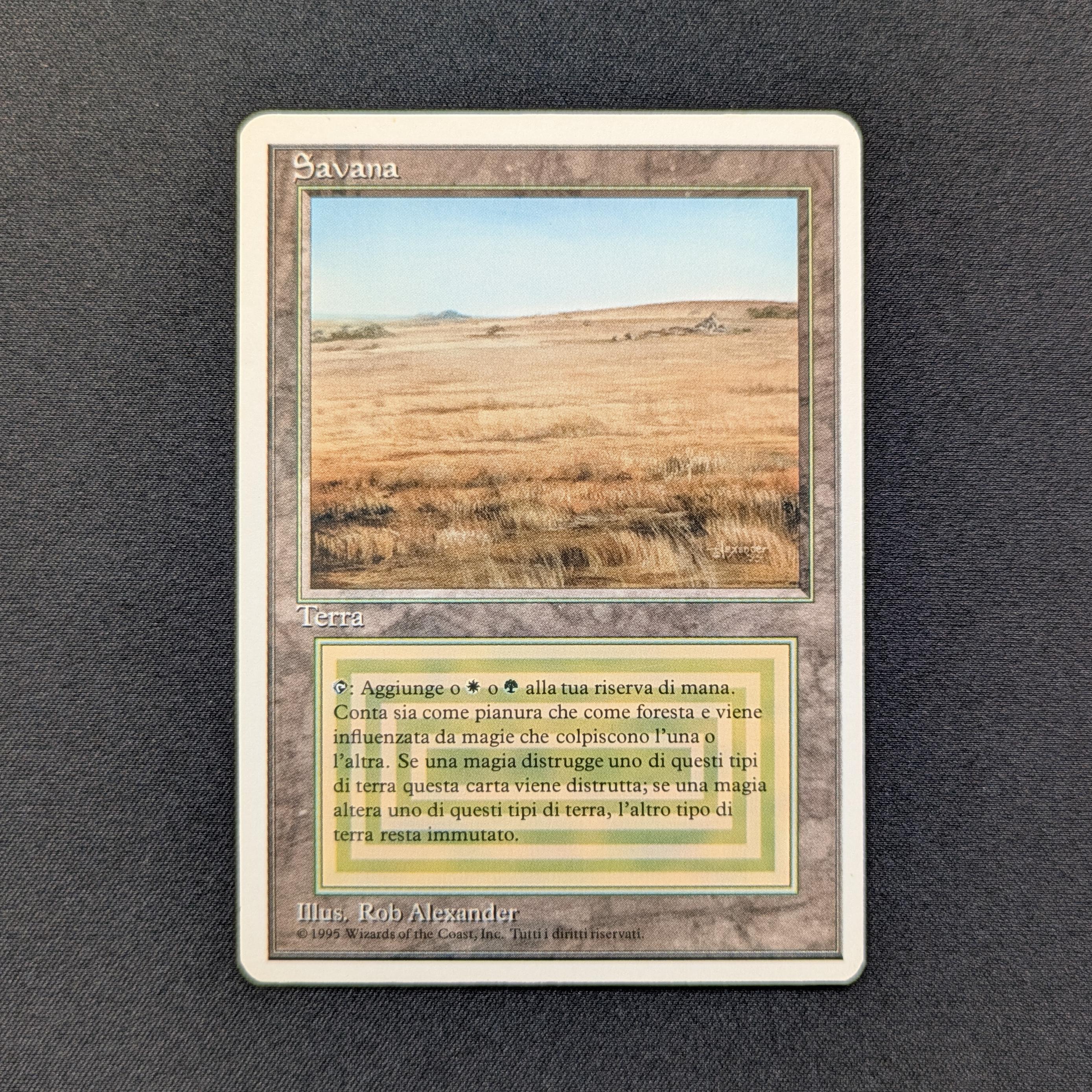 MTG Singles - Savannah - Foreign White Bordered -