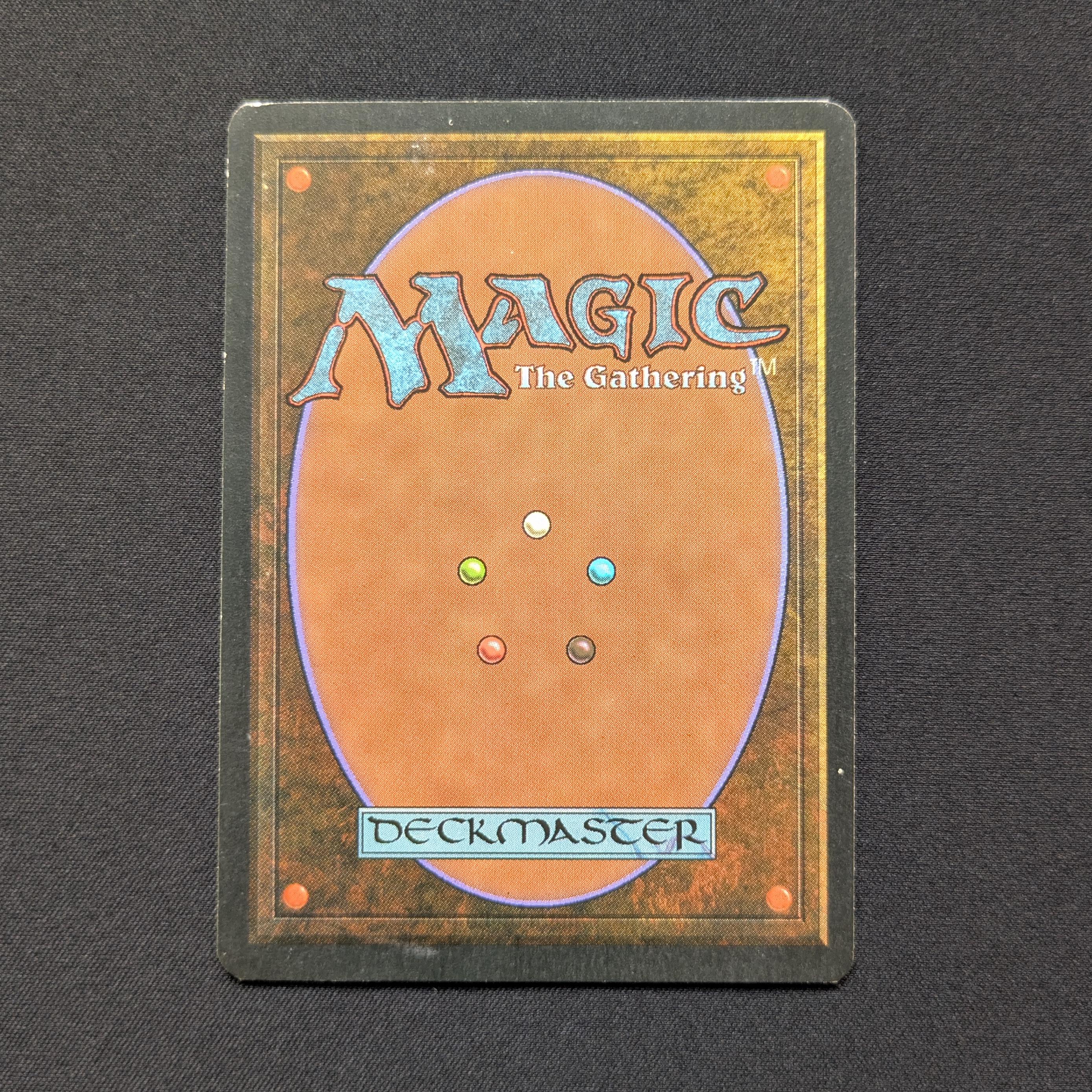 MTG Singles - Taiga - Foreign White Bordered -