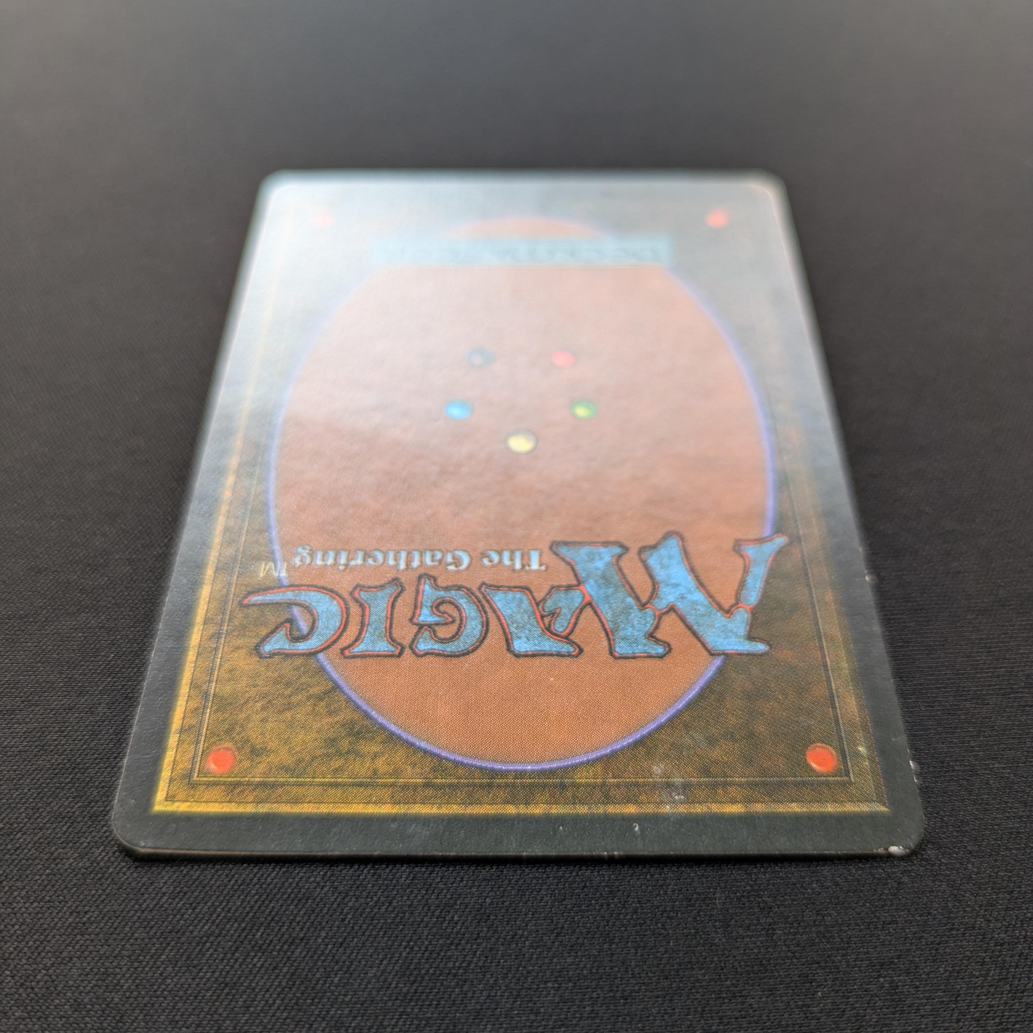 MTG Singles - Taiga - Foreign White Bordered -