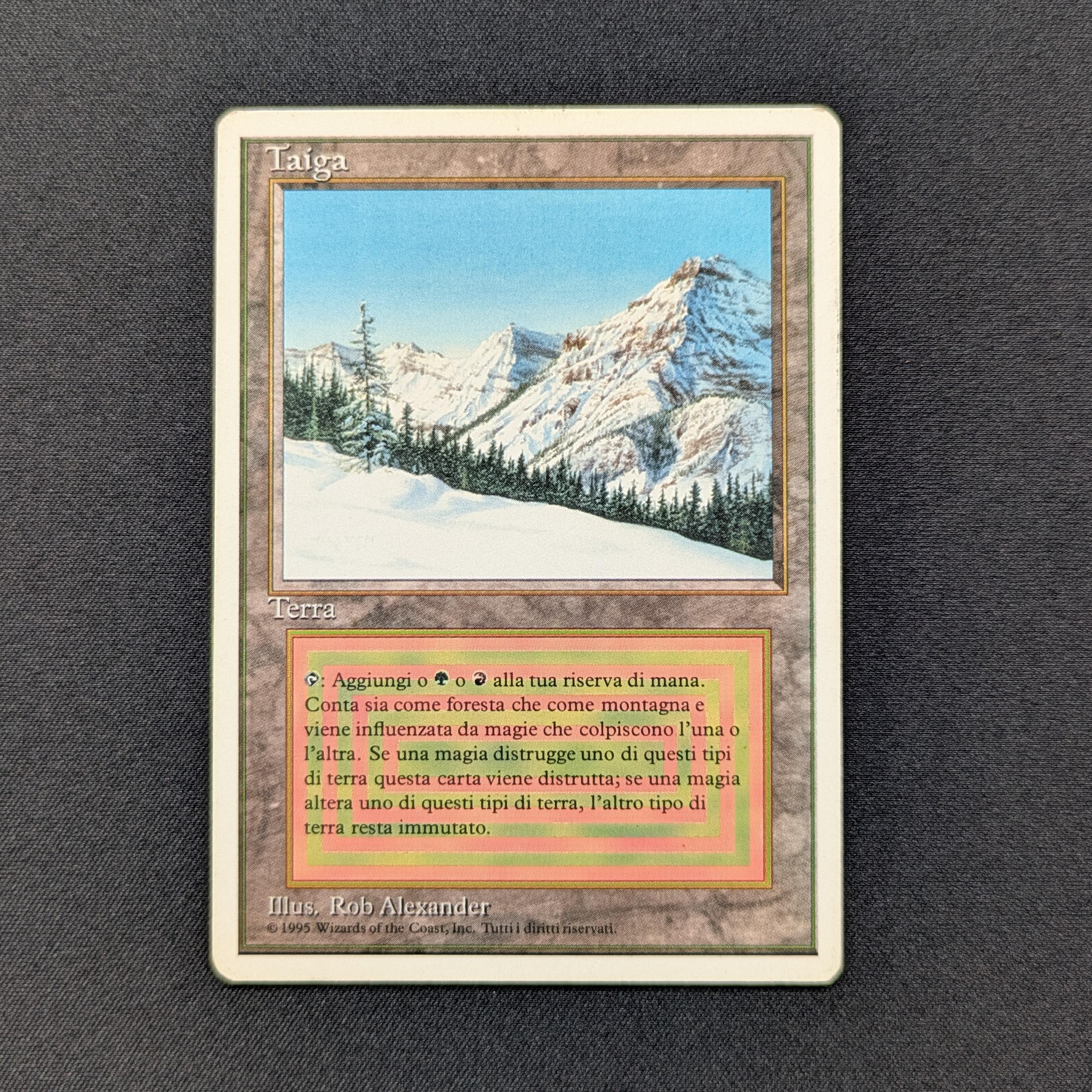 MTG Singles - Taiga - Foreign White Bordered -