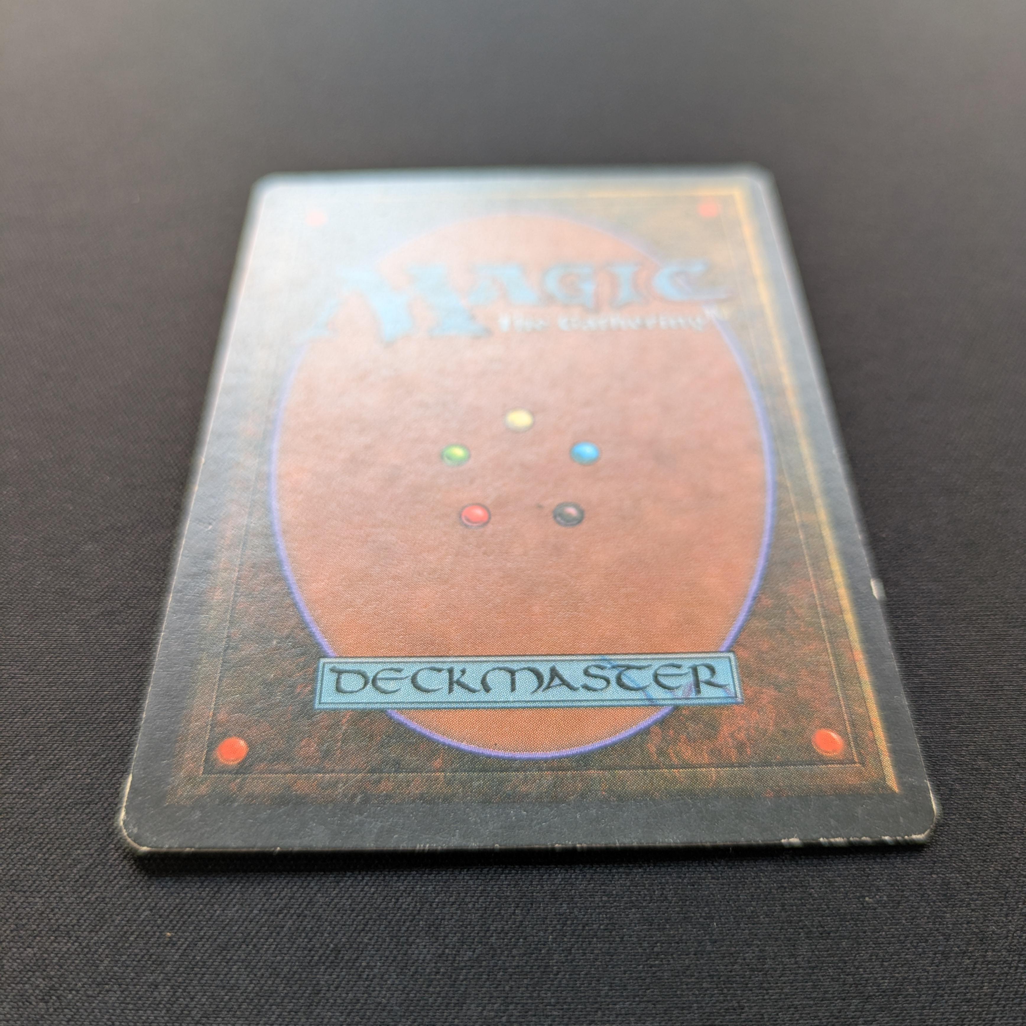 MTG Singles - Taiga - Foreign White Bordered -