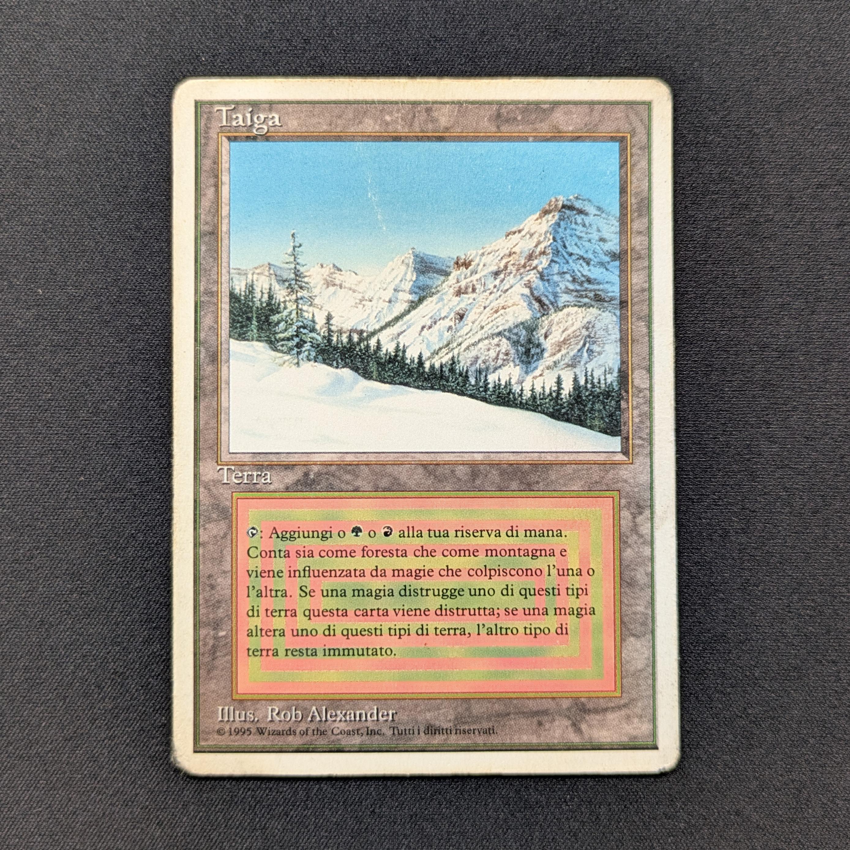 MTG Singles - Taiga - Foreign White Bordered -