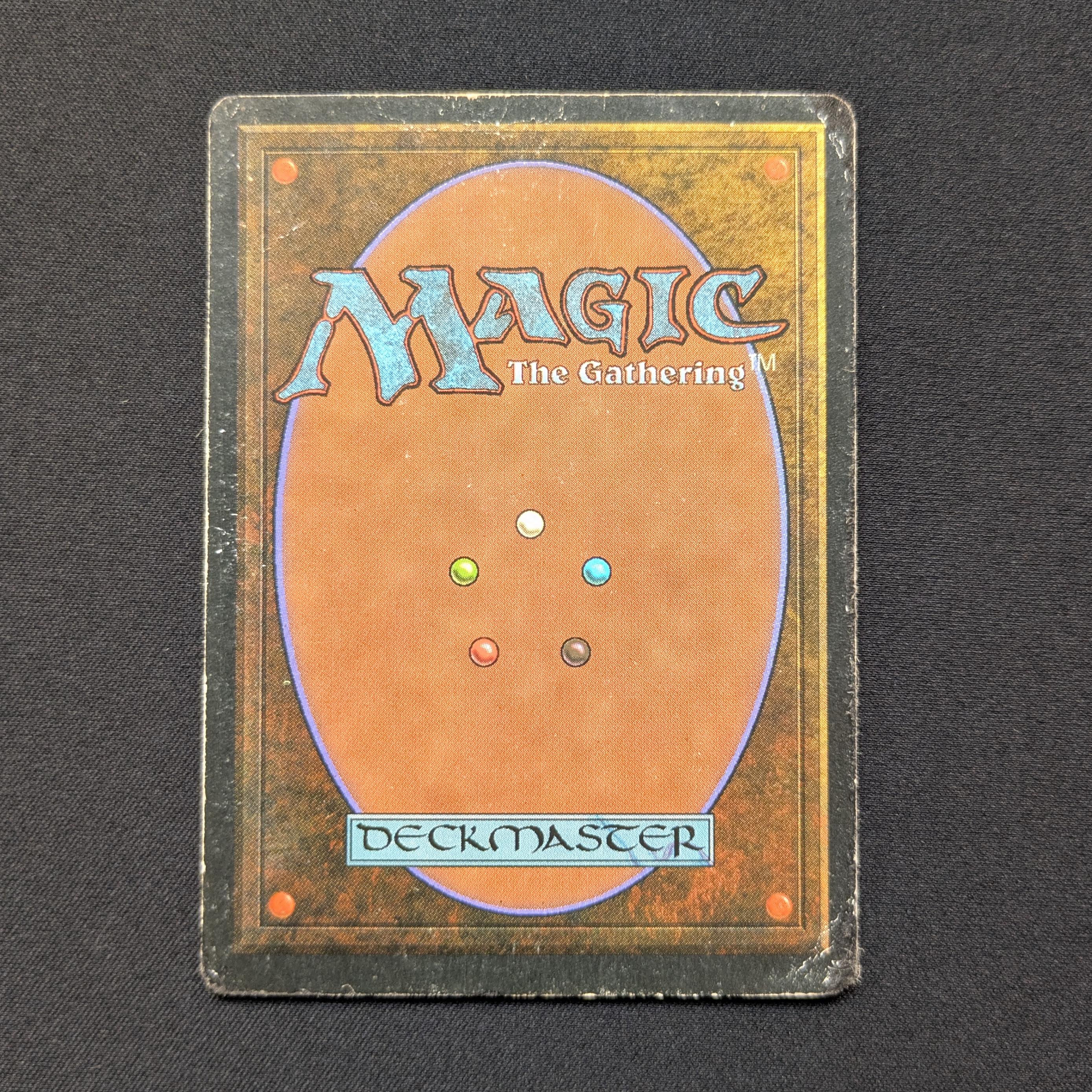 MTG Singles - Taiga - Foreign White Bordered -