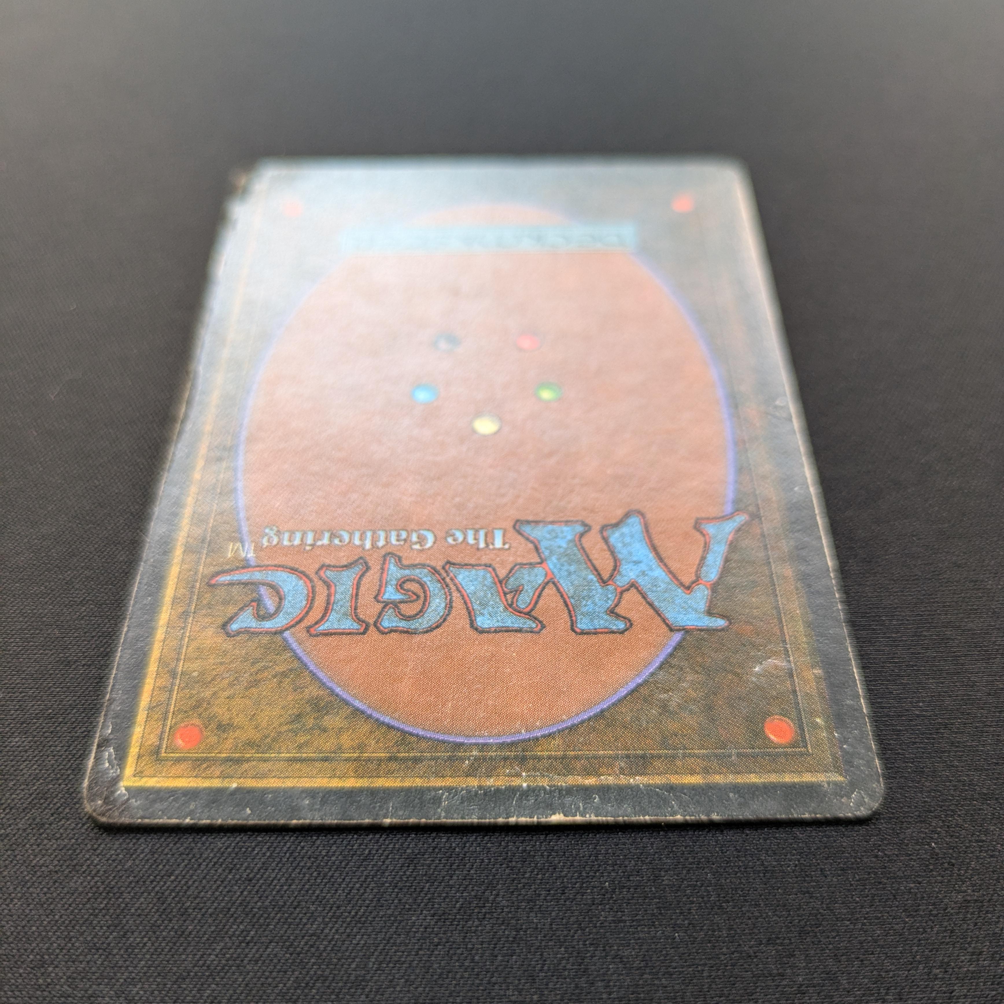 MTG Singles - Taiga - Foreign White Bordered -