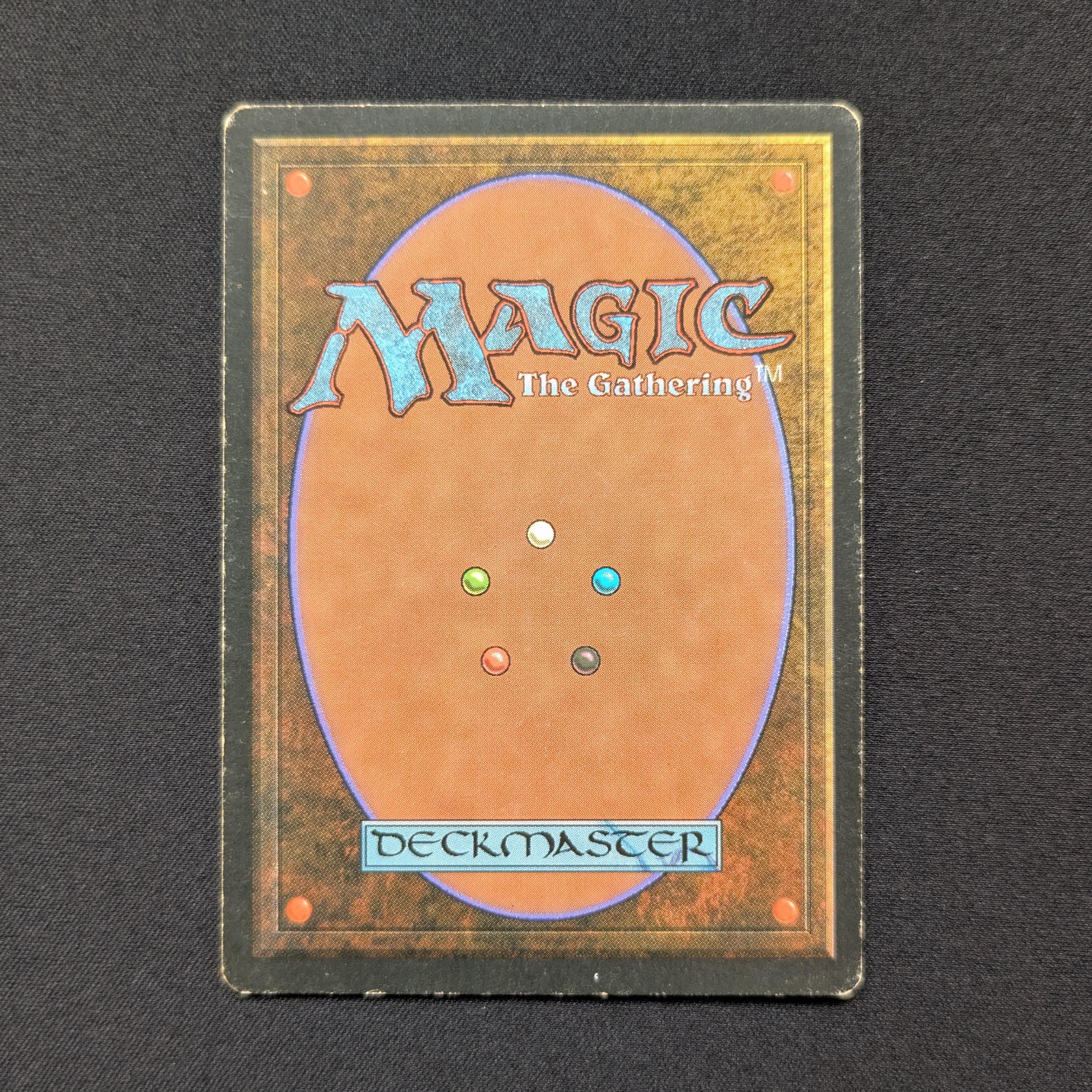 MTG Singles - Savannah - Foreign Black Bordered -