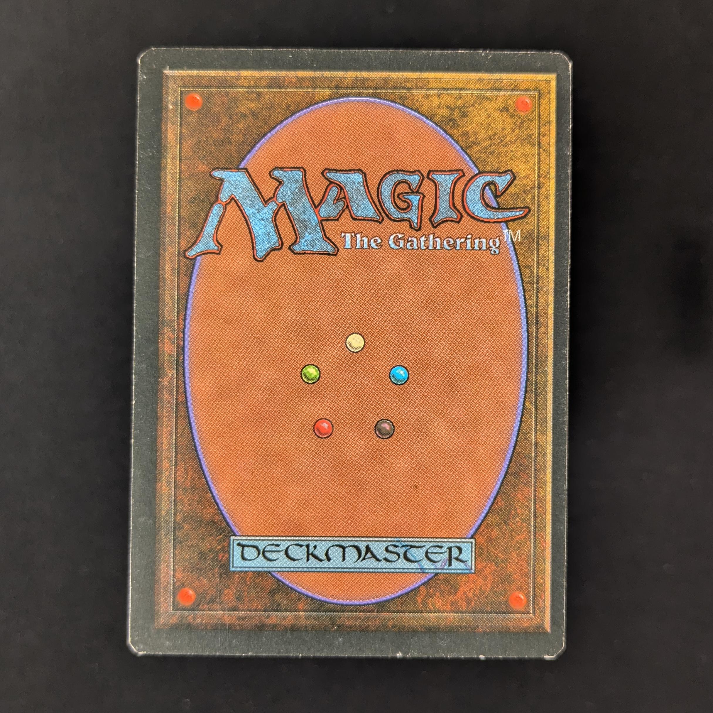 MTG Singles - Savannah - Foreign Black Bordered -