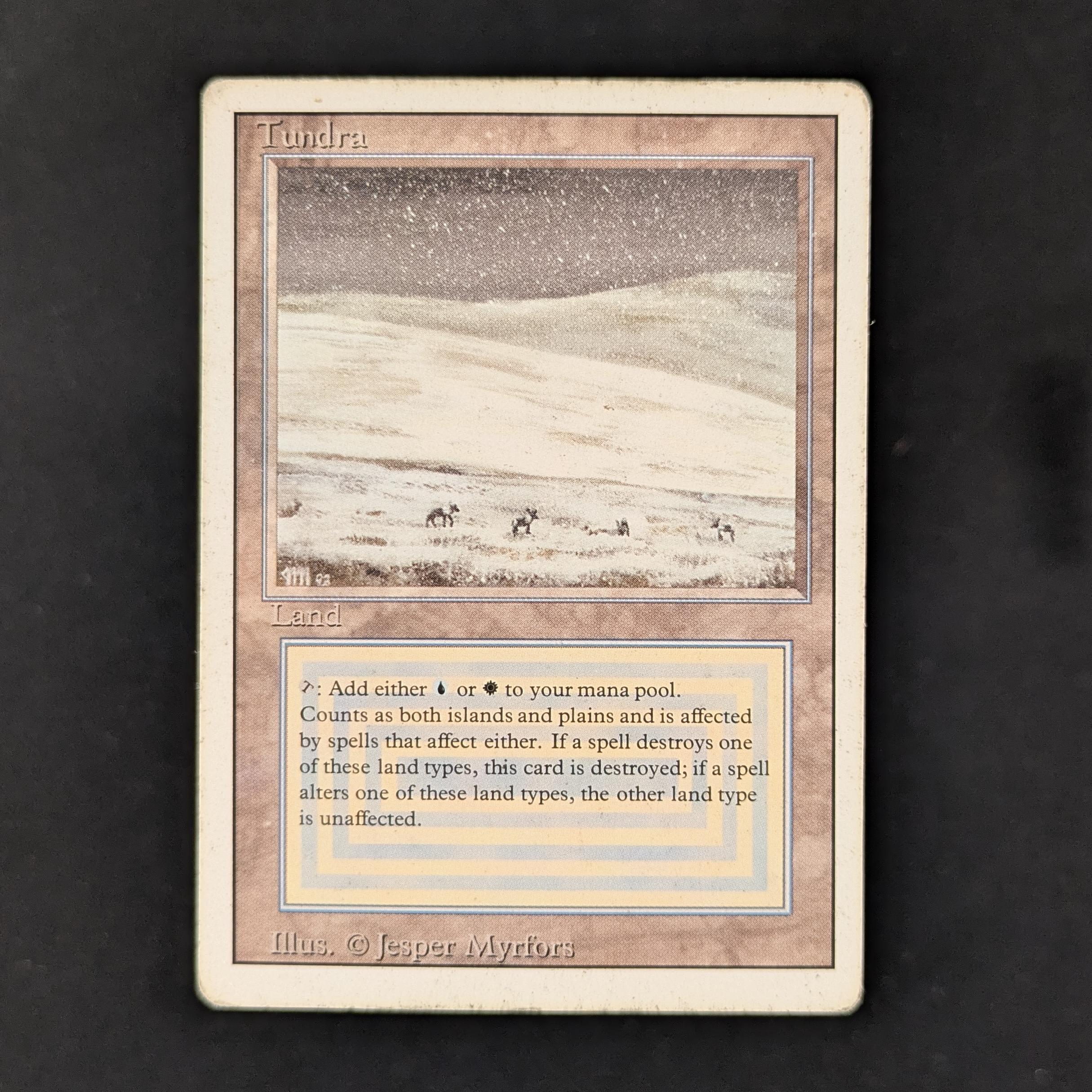 MTG Singles - Tundra - Revised -