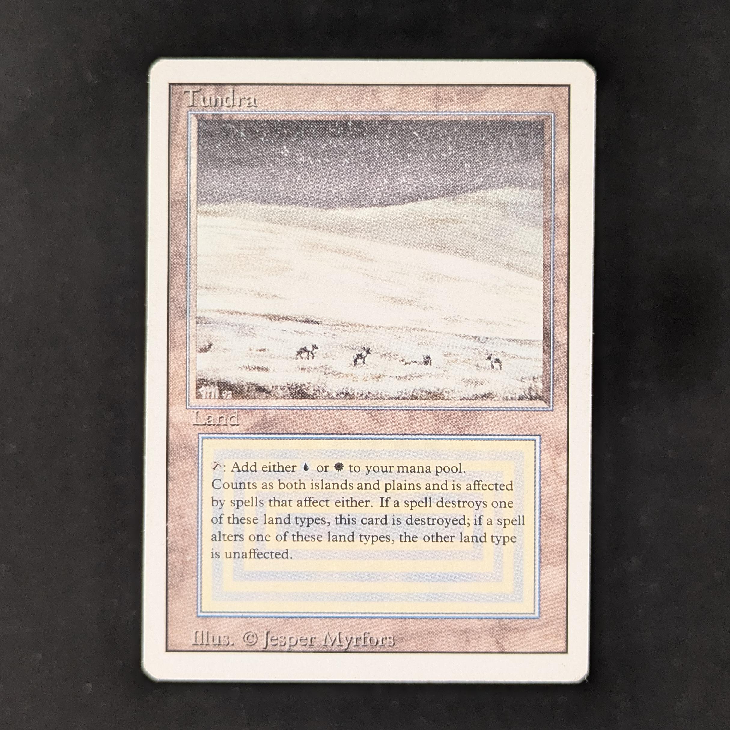 MTG Singles - Tundra - Revised - LP - 29933