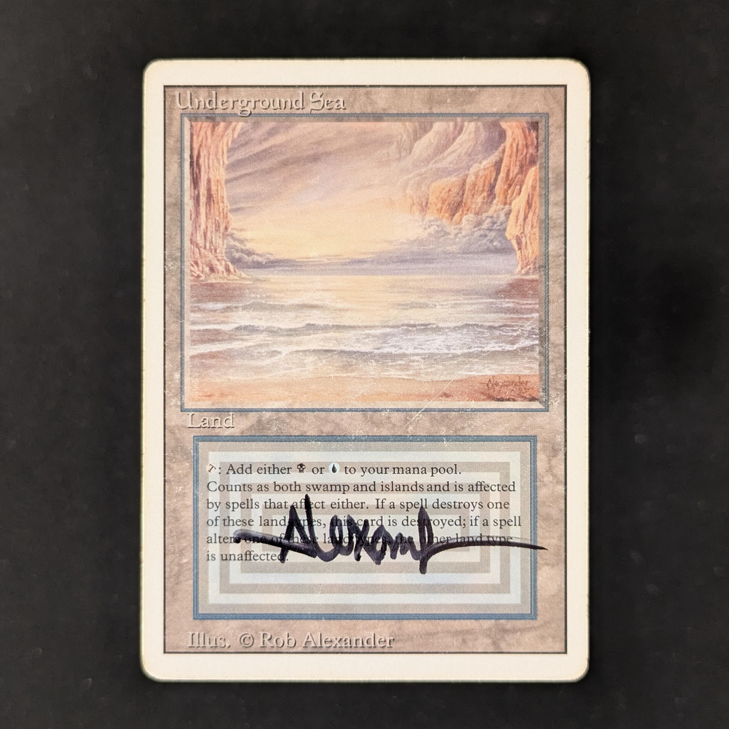 MTG Singles - Underground Sea - Revised - PL - SIGNED - 29940