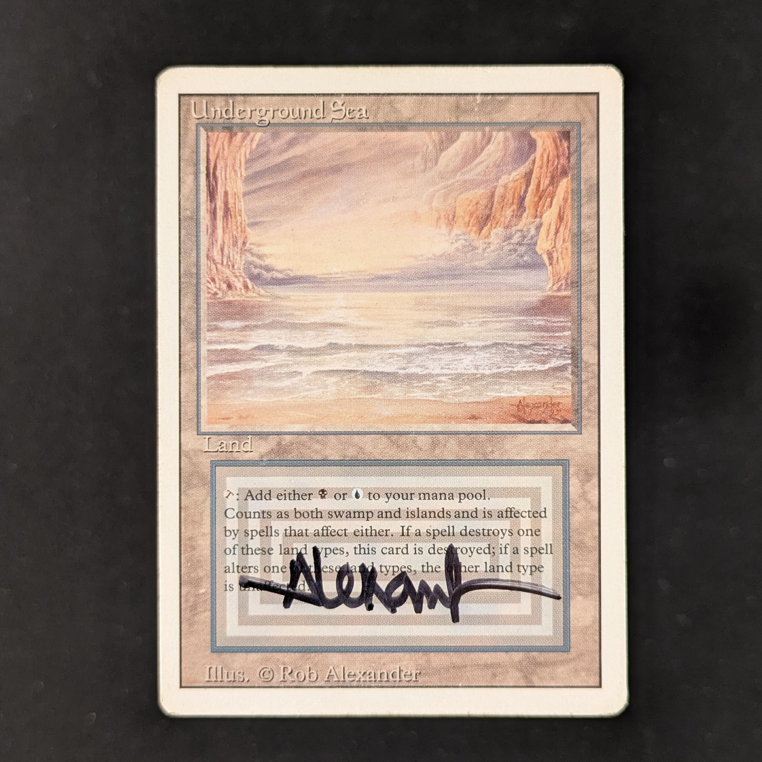 MTG Singles - Underground Sea - Revised - PL - SIGNED - 29941