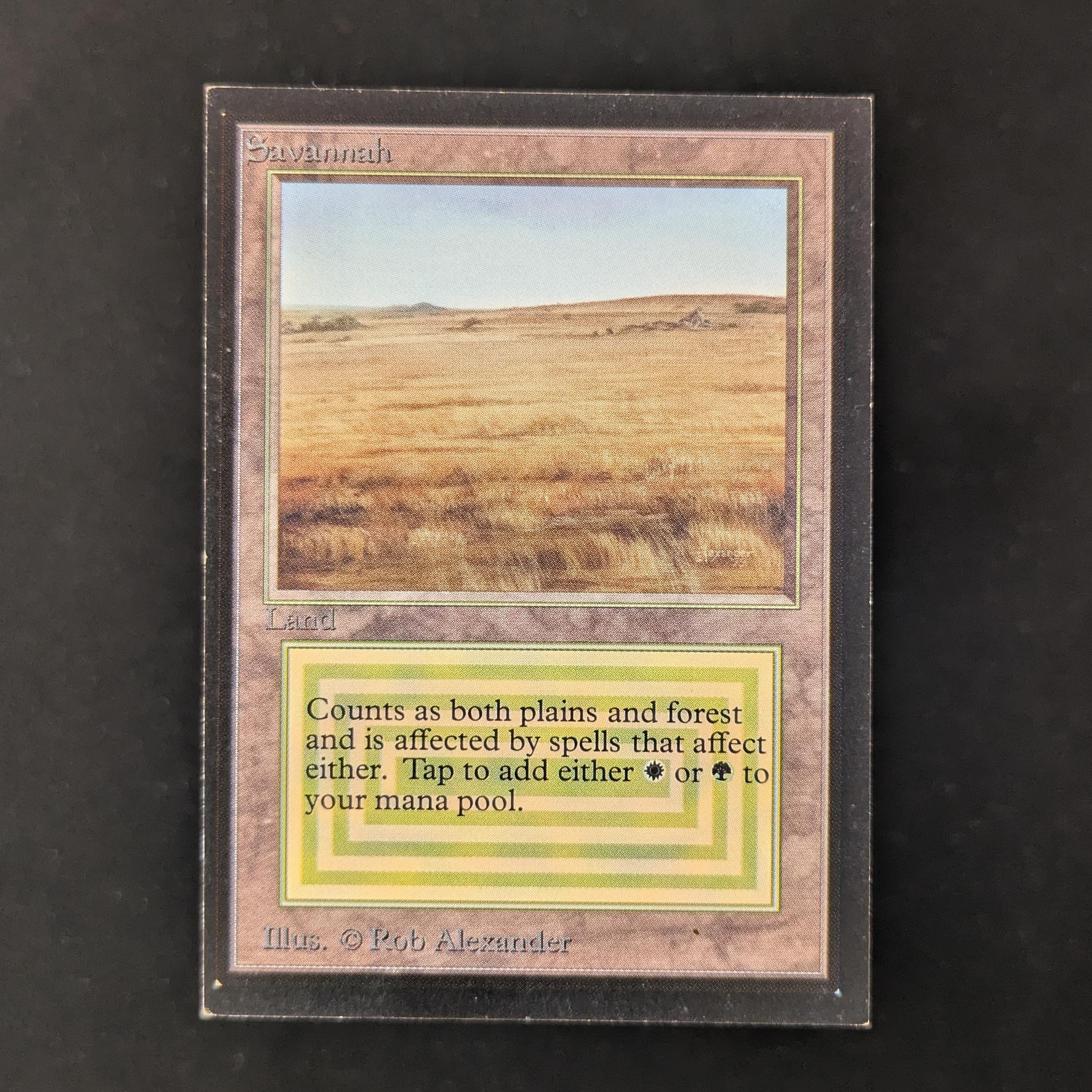 MTG Singles - Savannah - Collectors' Edition - LP - 30177