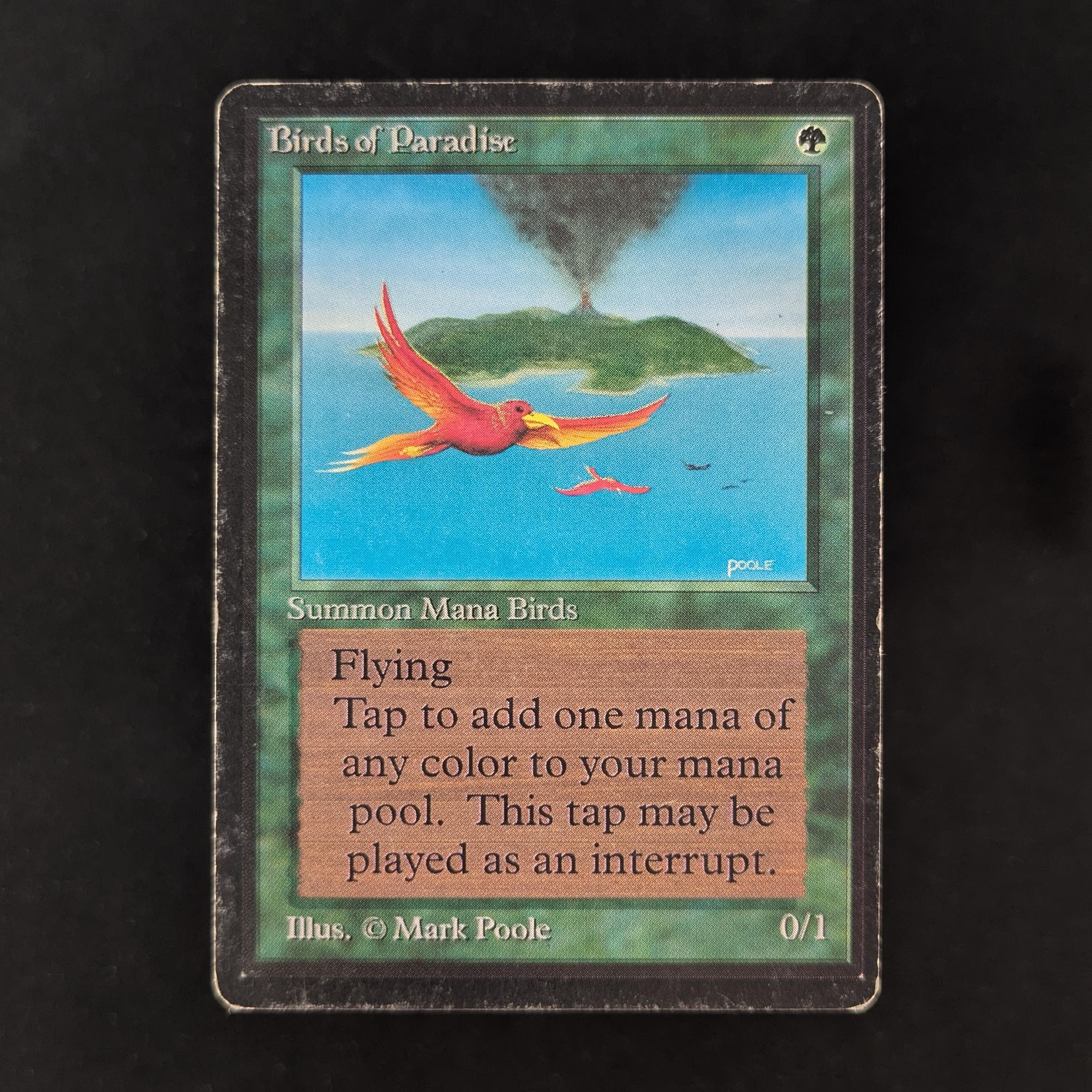 MTG Singles - Birds of Paradise - Beta - PL - 30432