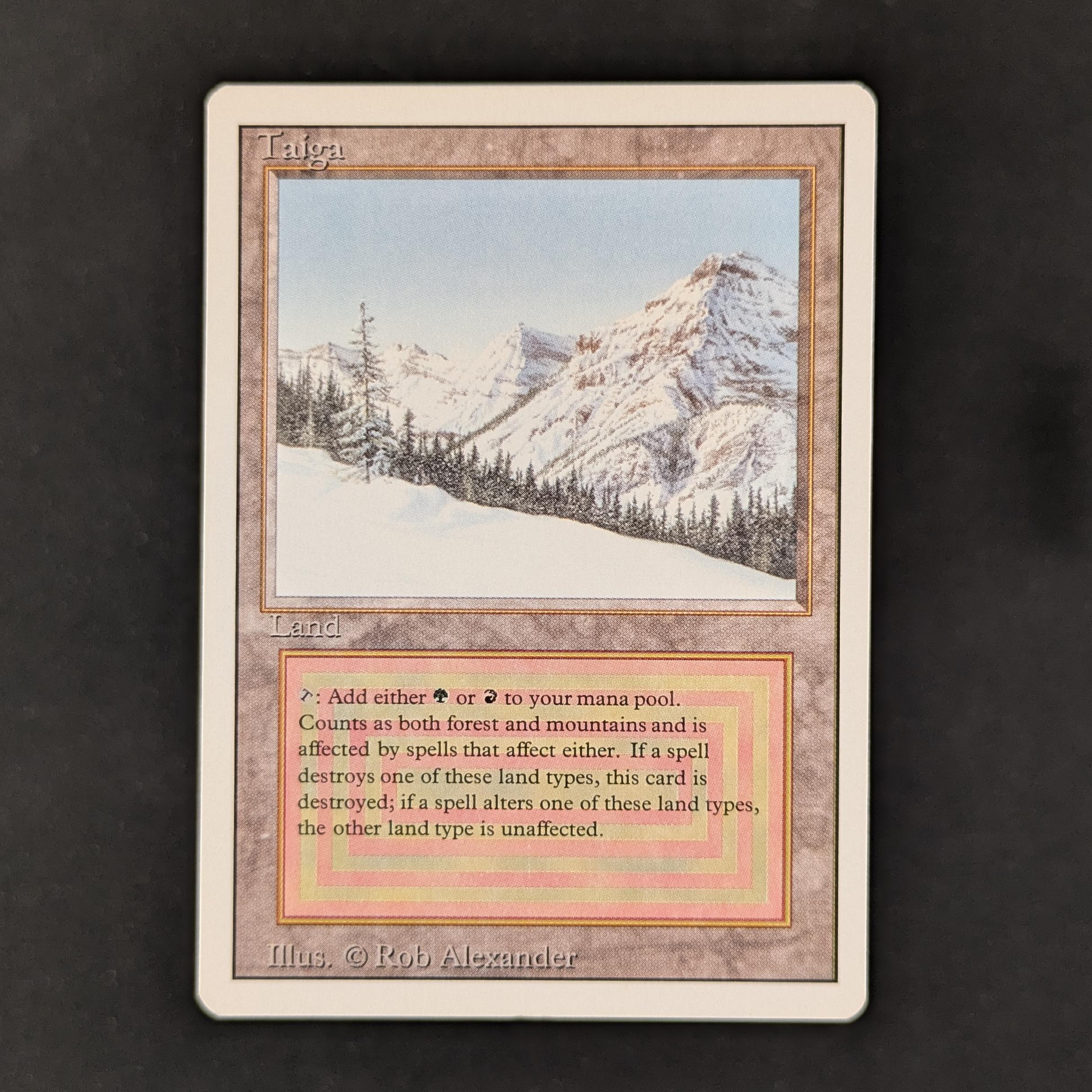 MTG Singles - Taiga - Revised - EX - 30565