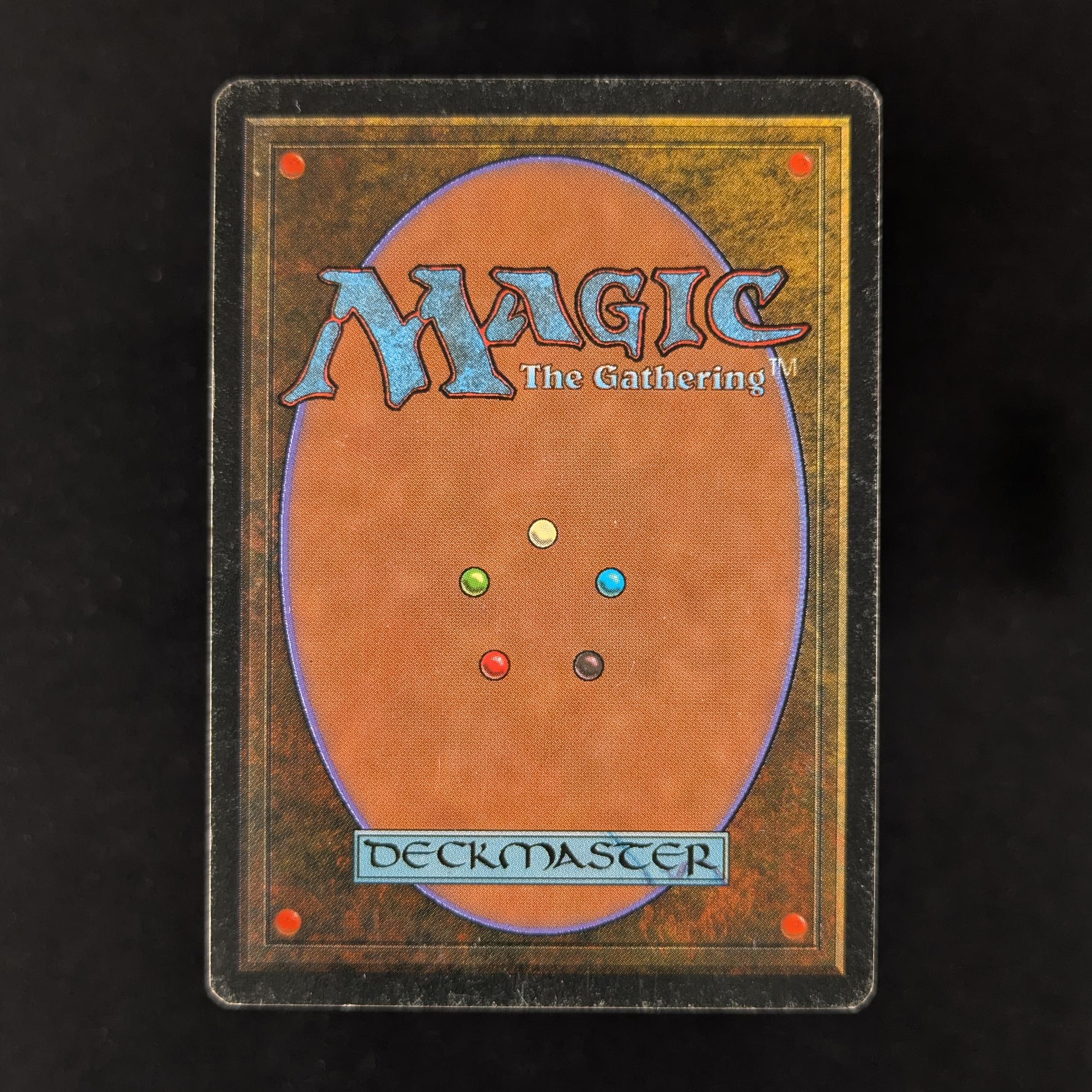 MTG Singles - Savannah - Foreign Black Bordered -