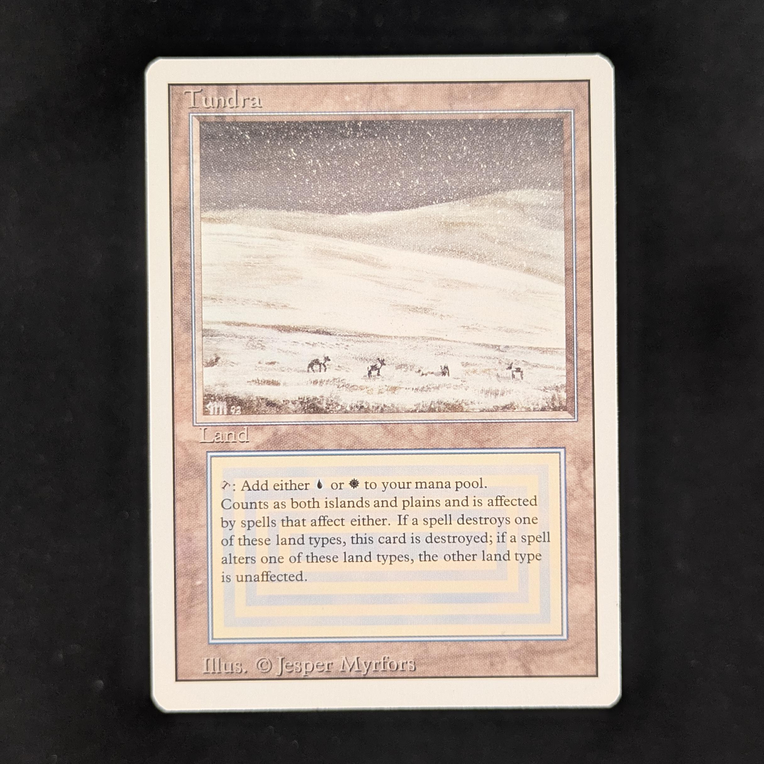 MTG Singles - Tundra - Revised - NM - 31148