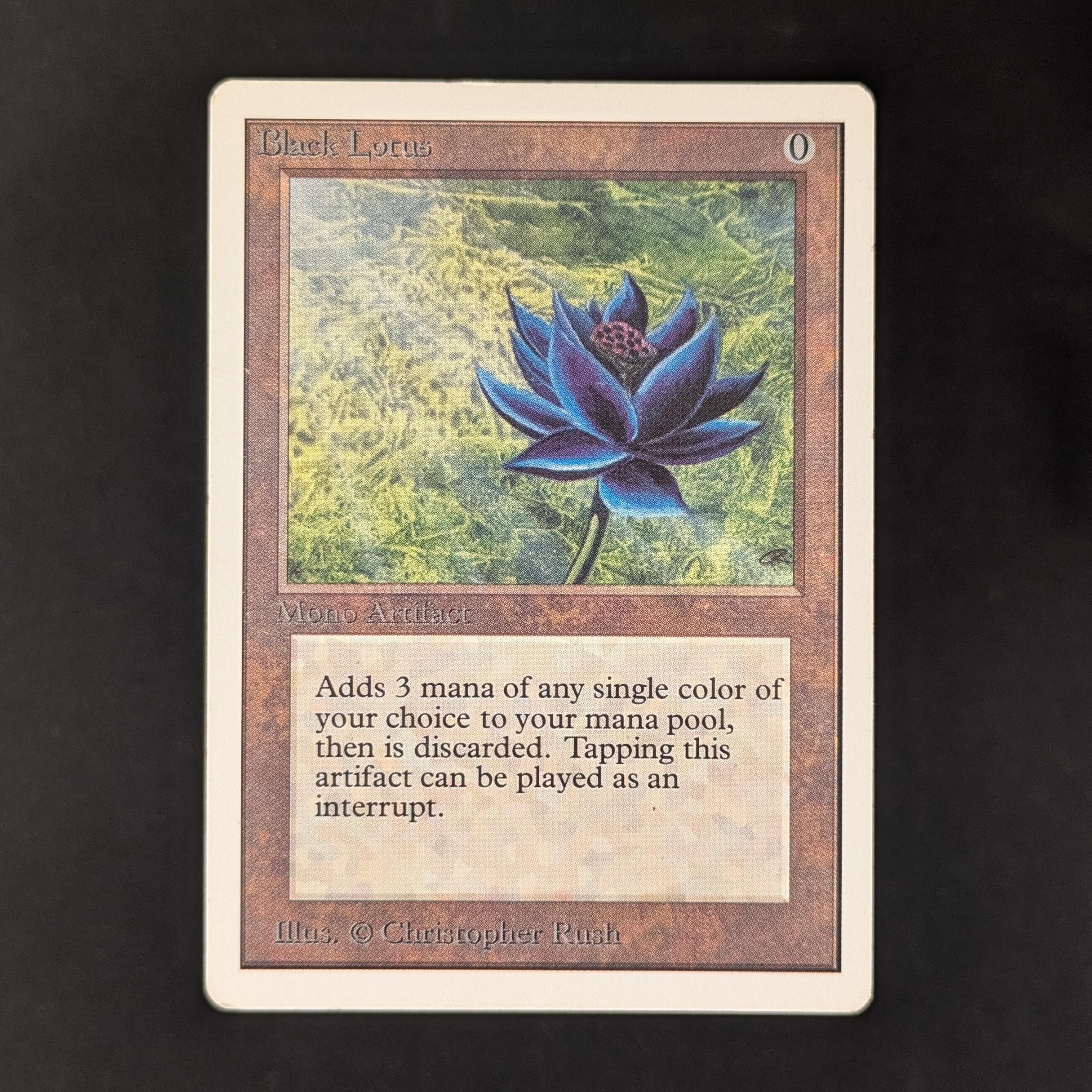 MTG Singles - Black Lotus - Unlimited - PL - 31223