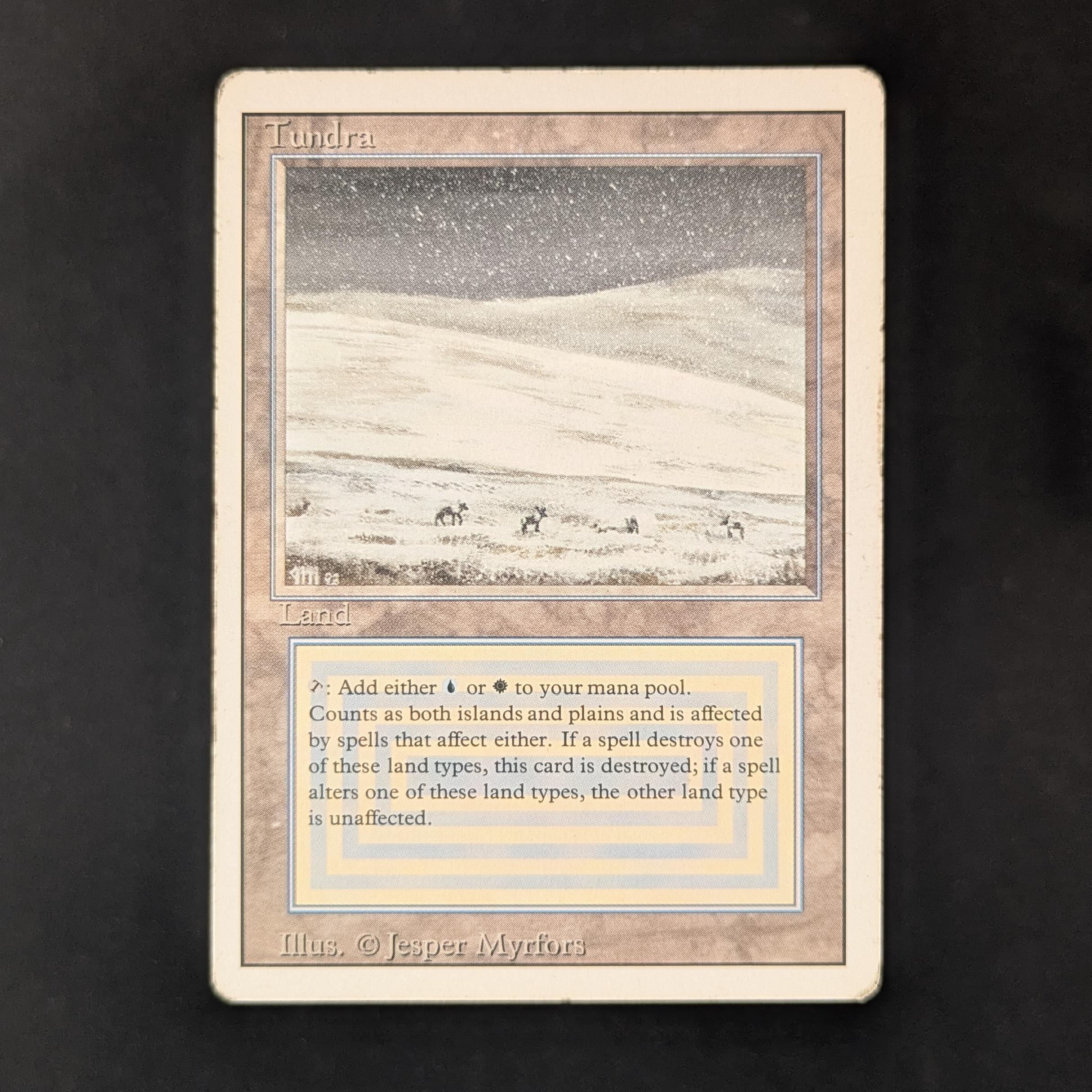 MTG Singles - Tundra - Revised - PL - 31295