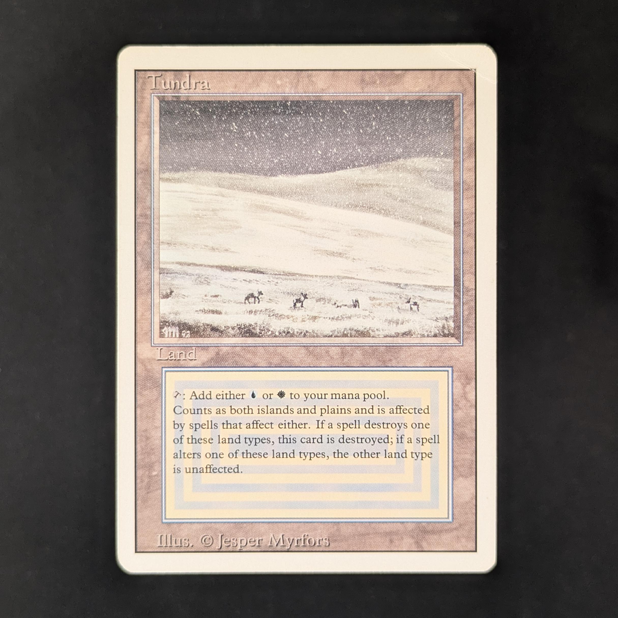 MTG Singles - Tundra - Revised - PO - 31297