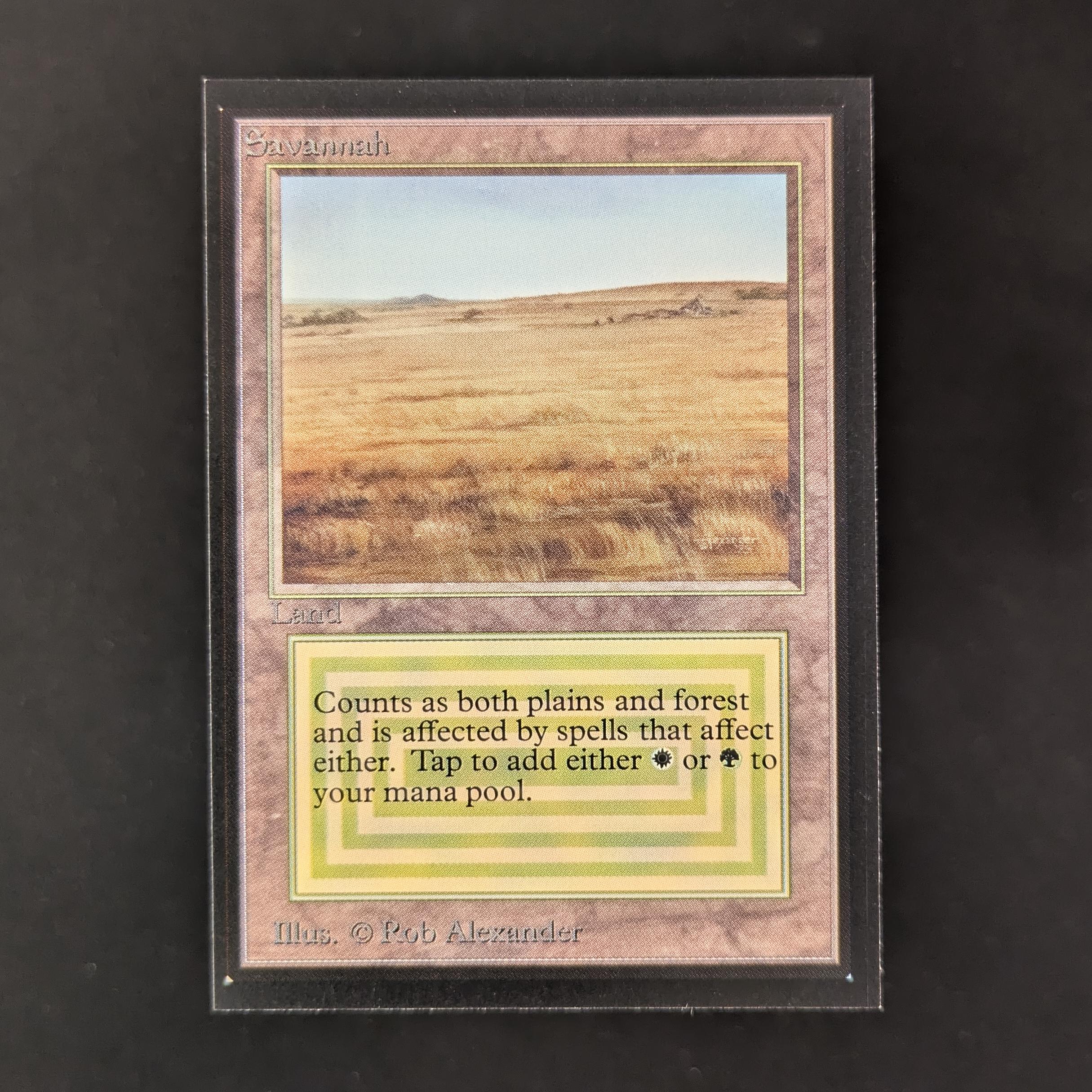 MTG Singles - Savannah - Collectors' Edition - NM - 31429