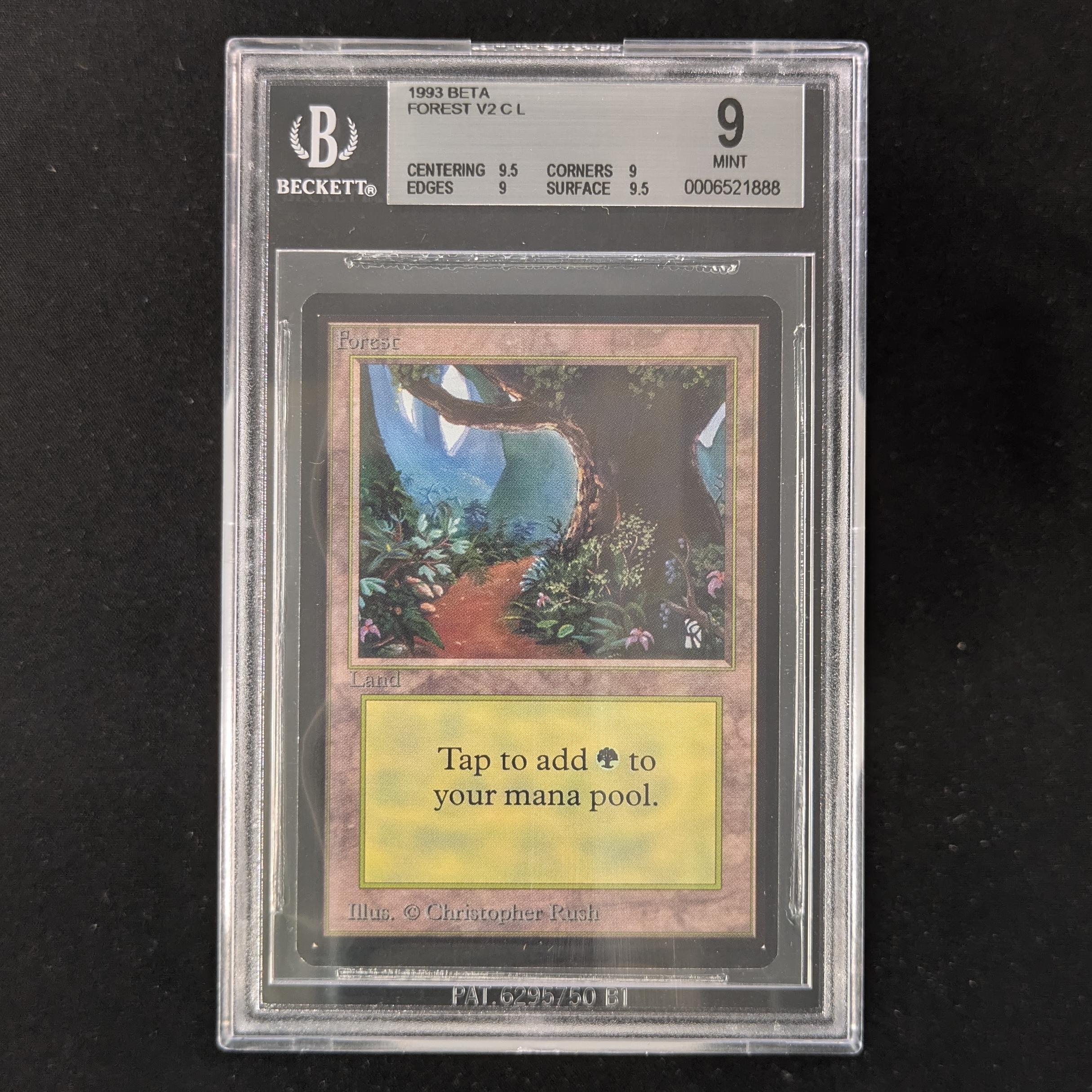 MTG Singles - Forest (V.2) - Beta - BGS 9 -