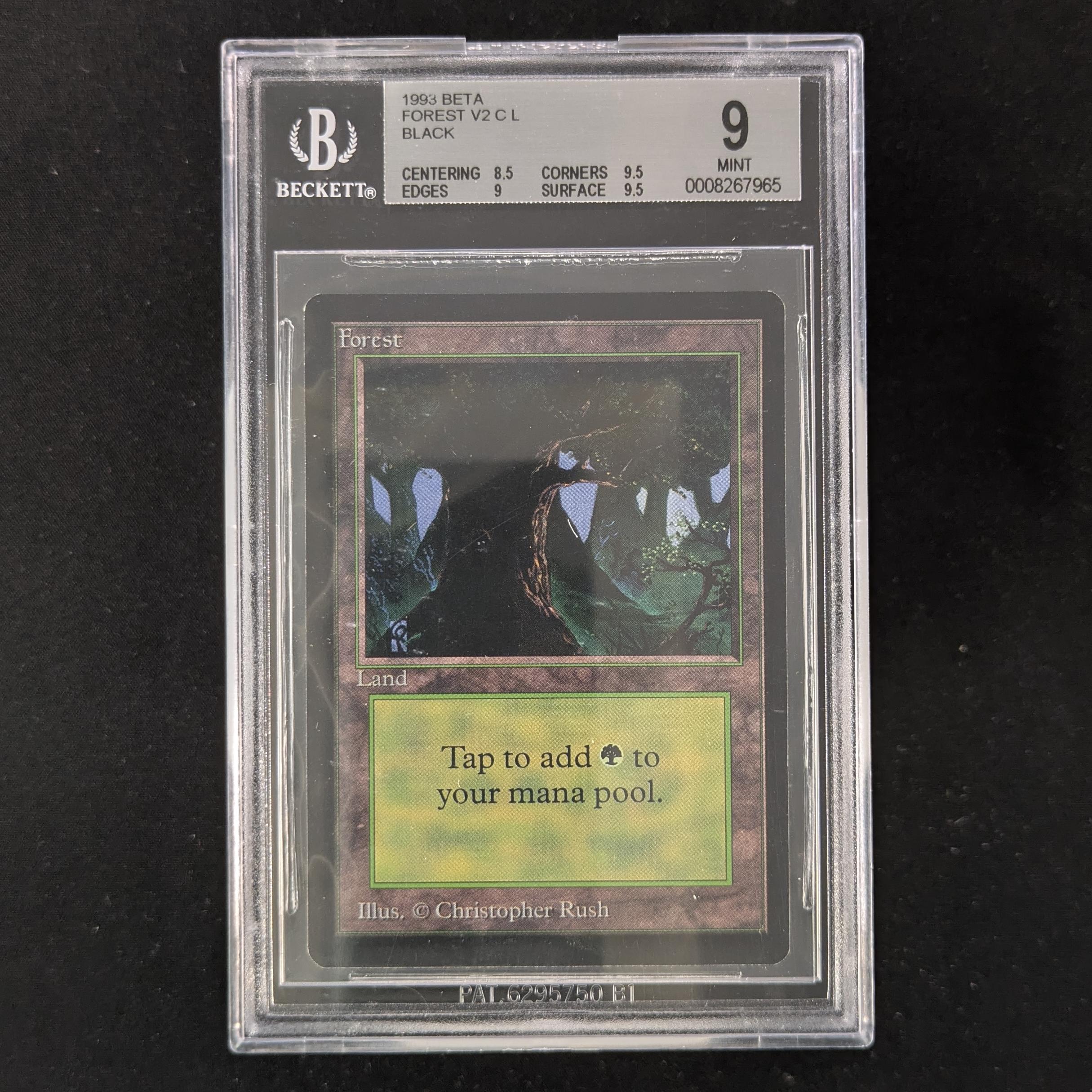MTG Singles - Forest (V.3) - Beta - BGS 9 -