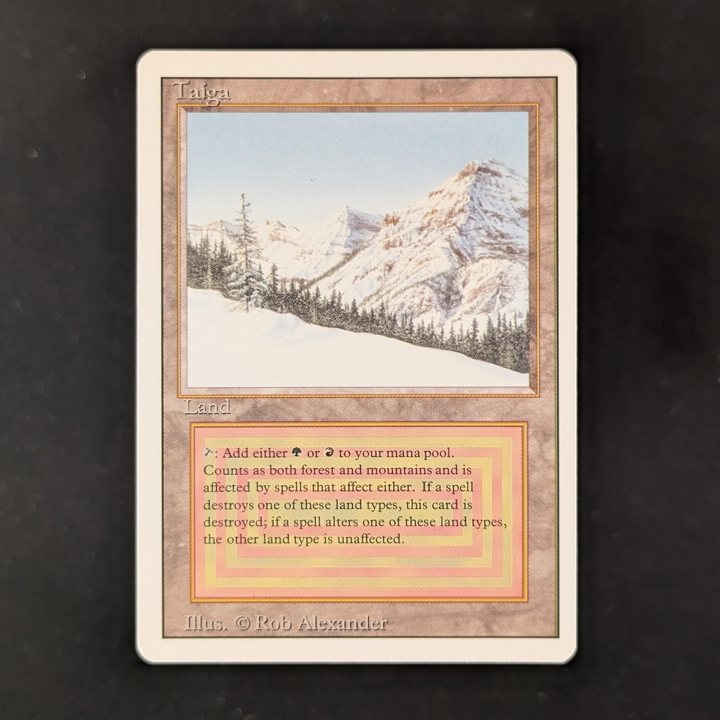 MTG Singles - Taiga - Revised - NM - 31718