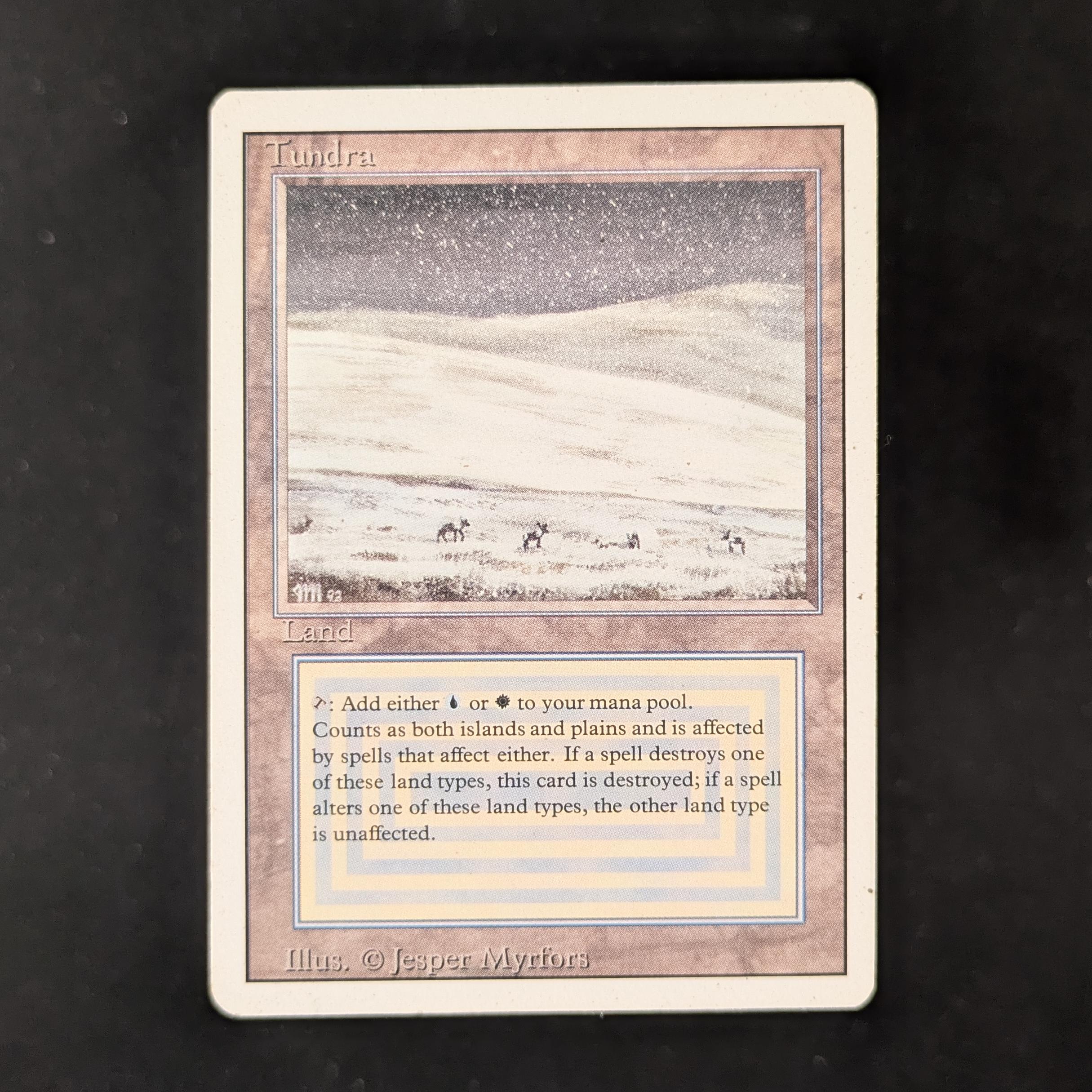 MTG Singles - Tundra - Revised - LP - 31734