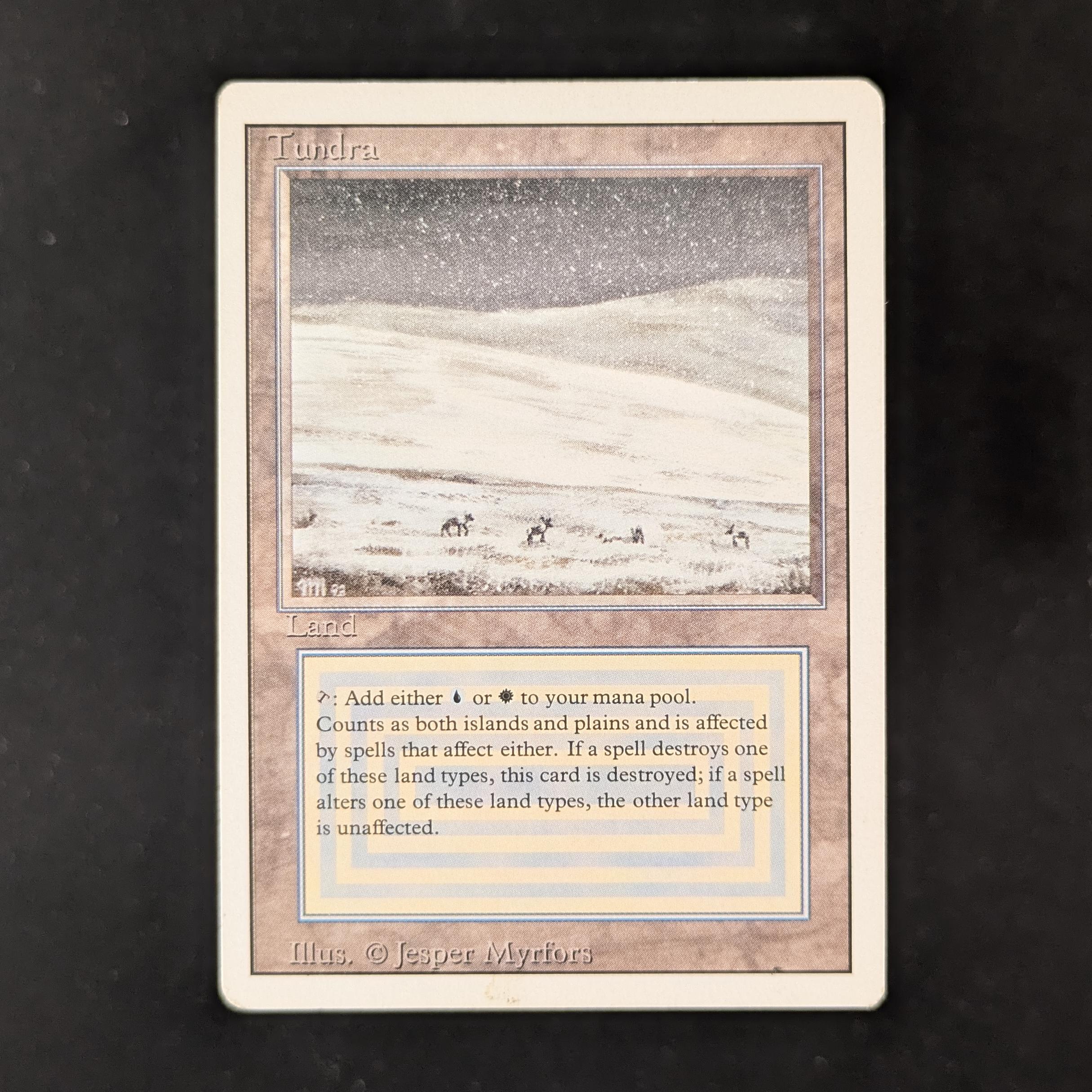 MTG Singles - Tundra - Revised - LP - 31735