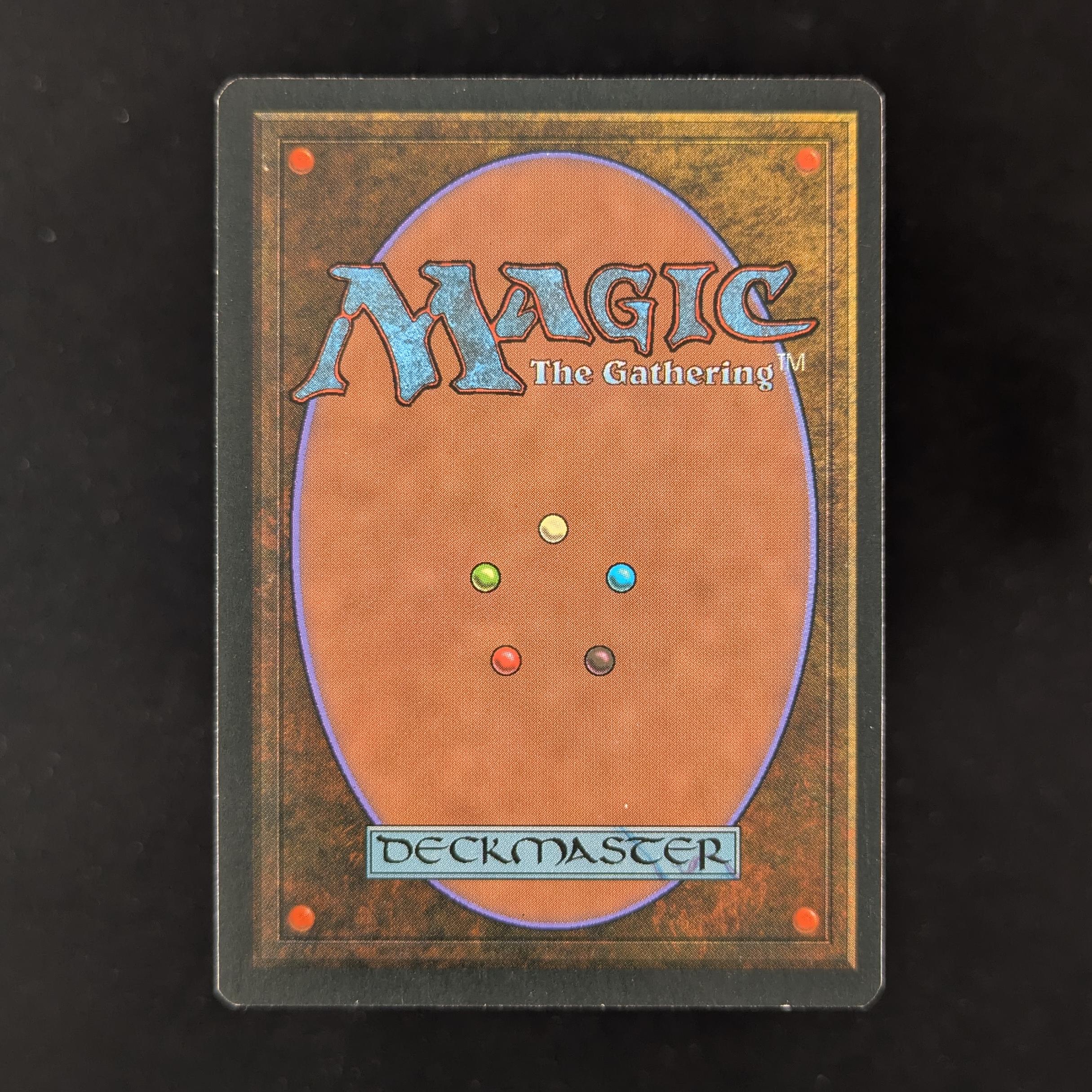 MTG Singles - Bayou - Foreign White Bordered -