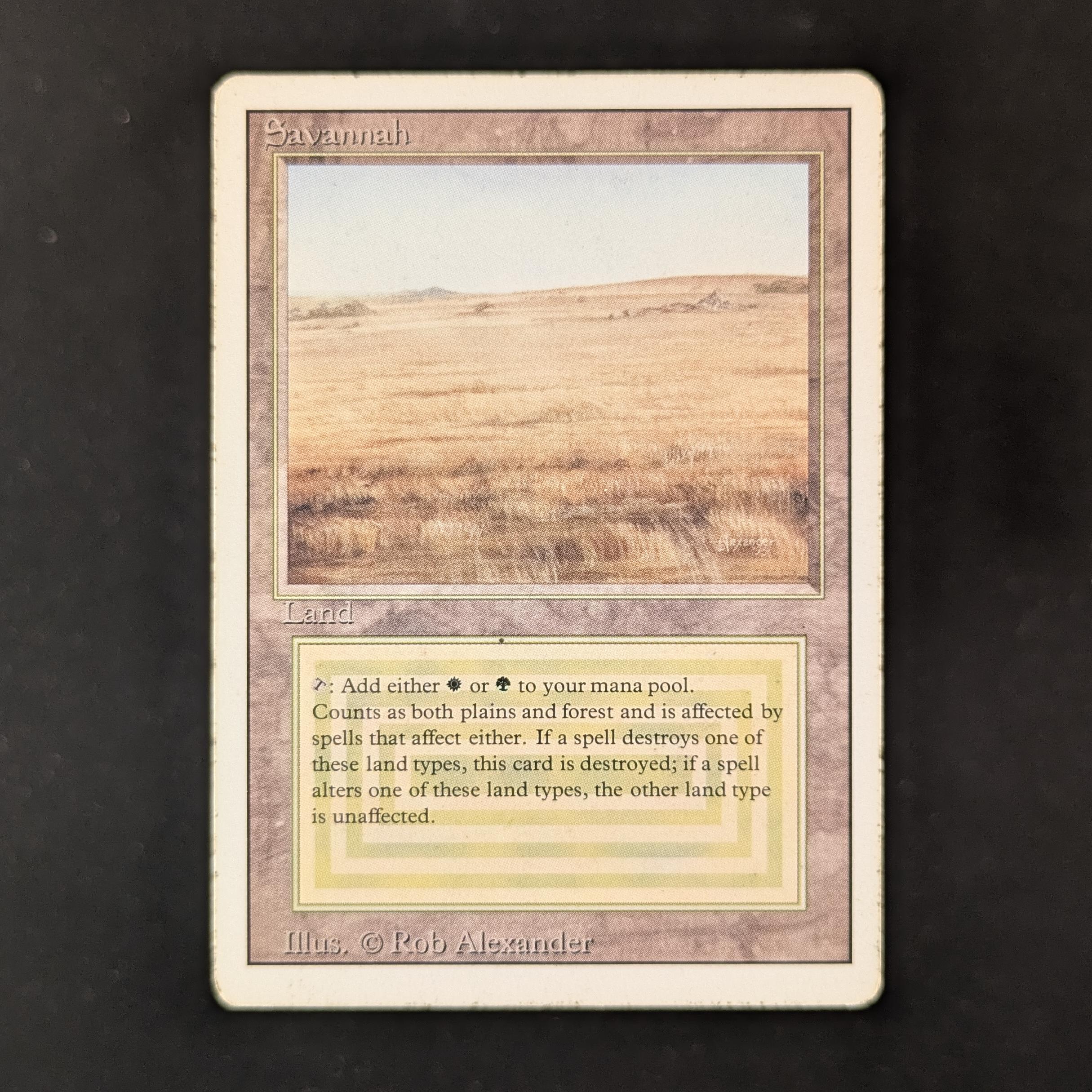 MTG Singles - Savannah - Revised - PL - 31782