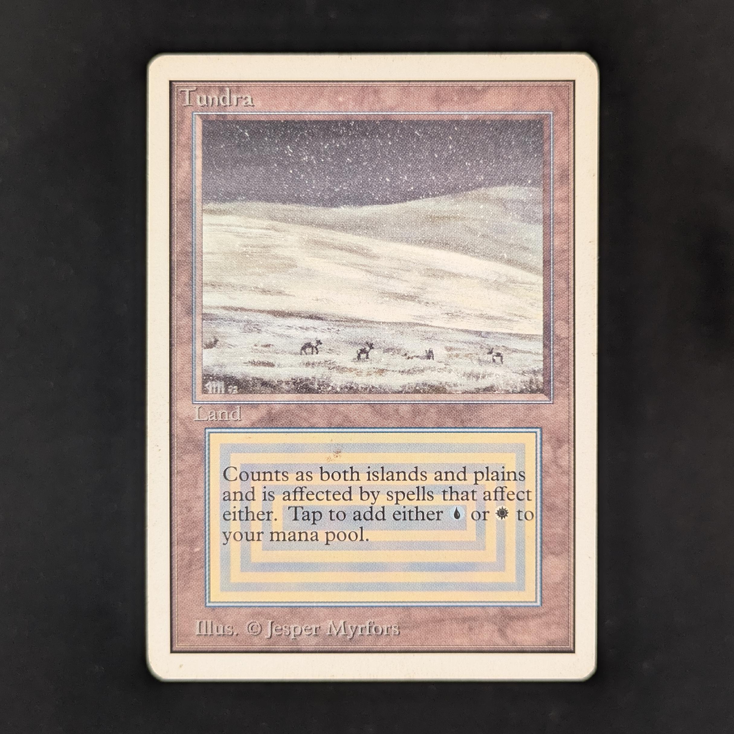 MTG Singles - Tundra - Unlimited - PL - 31900