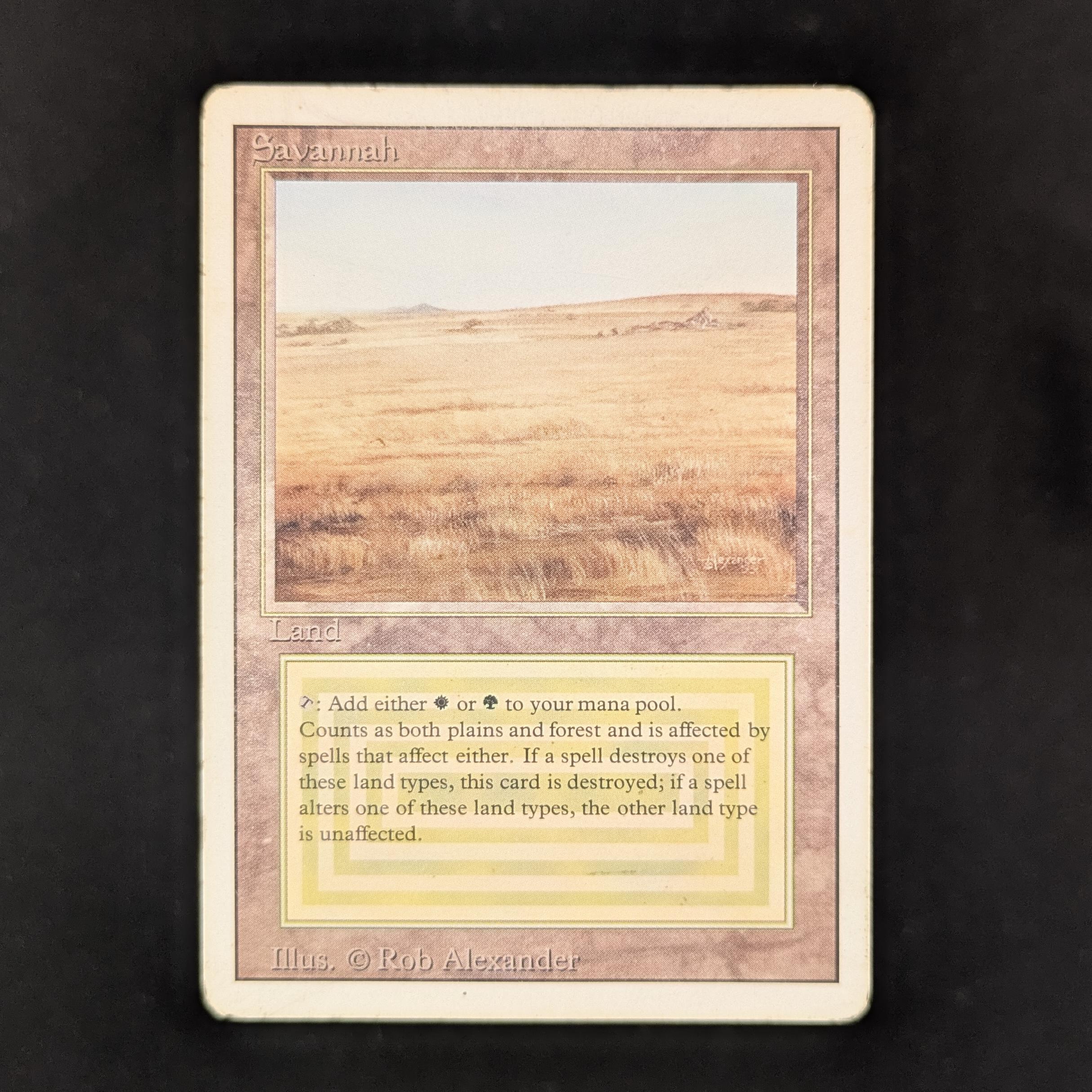 MTG Singles - Savannah - Revised - PL - 31935