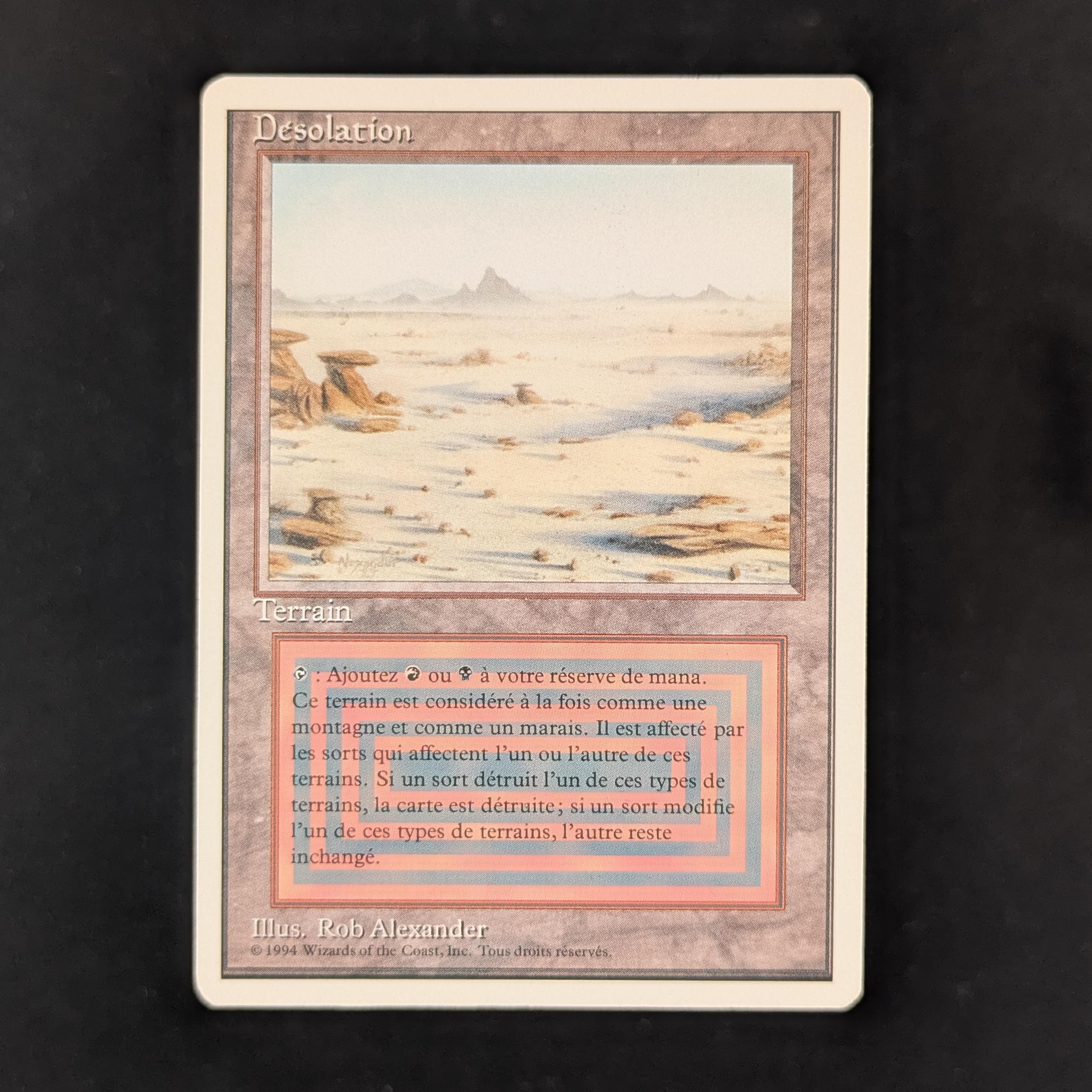 MTG Singles - Badlands - Foreign White Bordered - French - EX - 31963