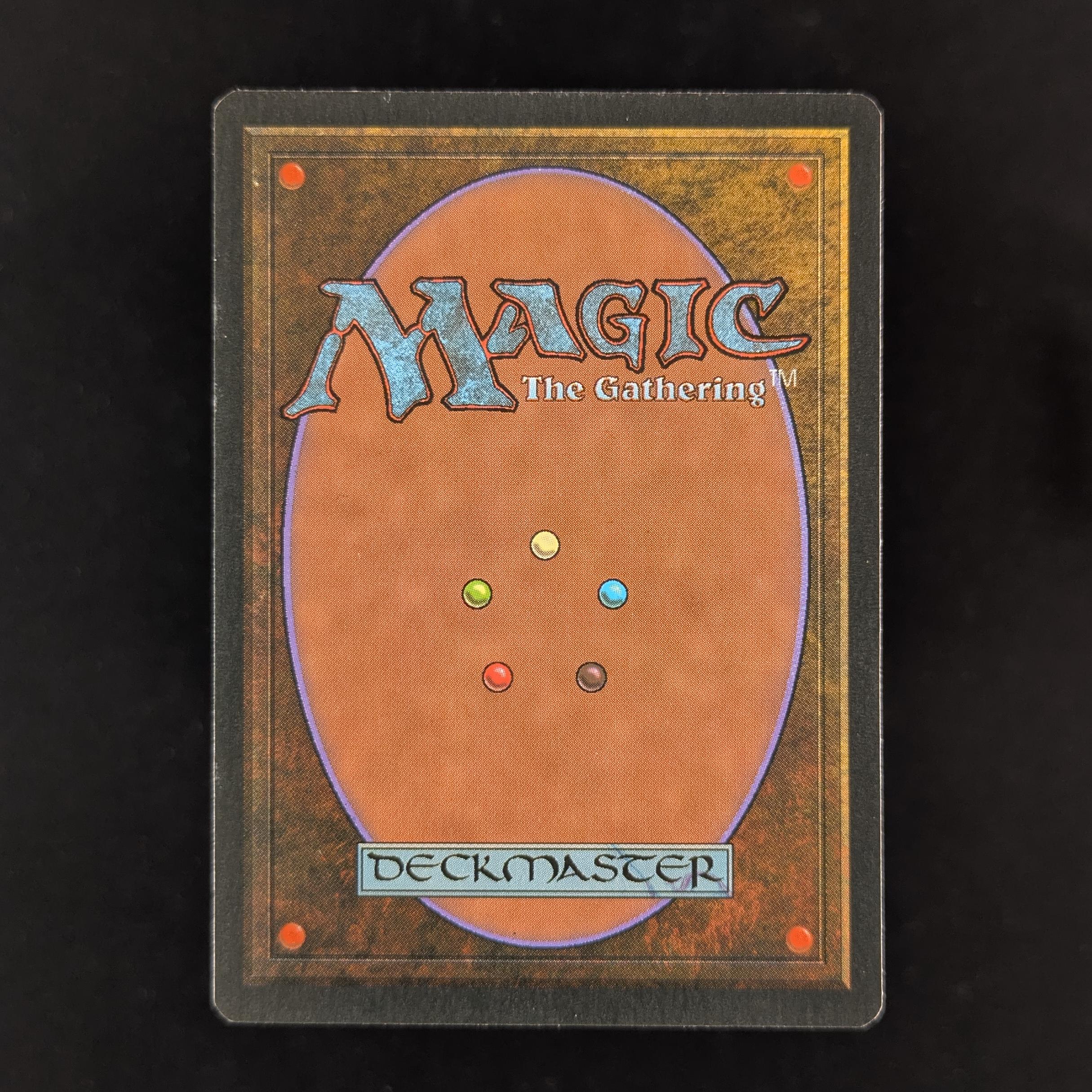 MTG Singles - Bayou - Foreign White Bordered -