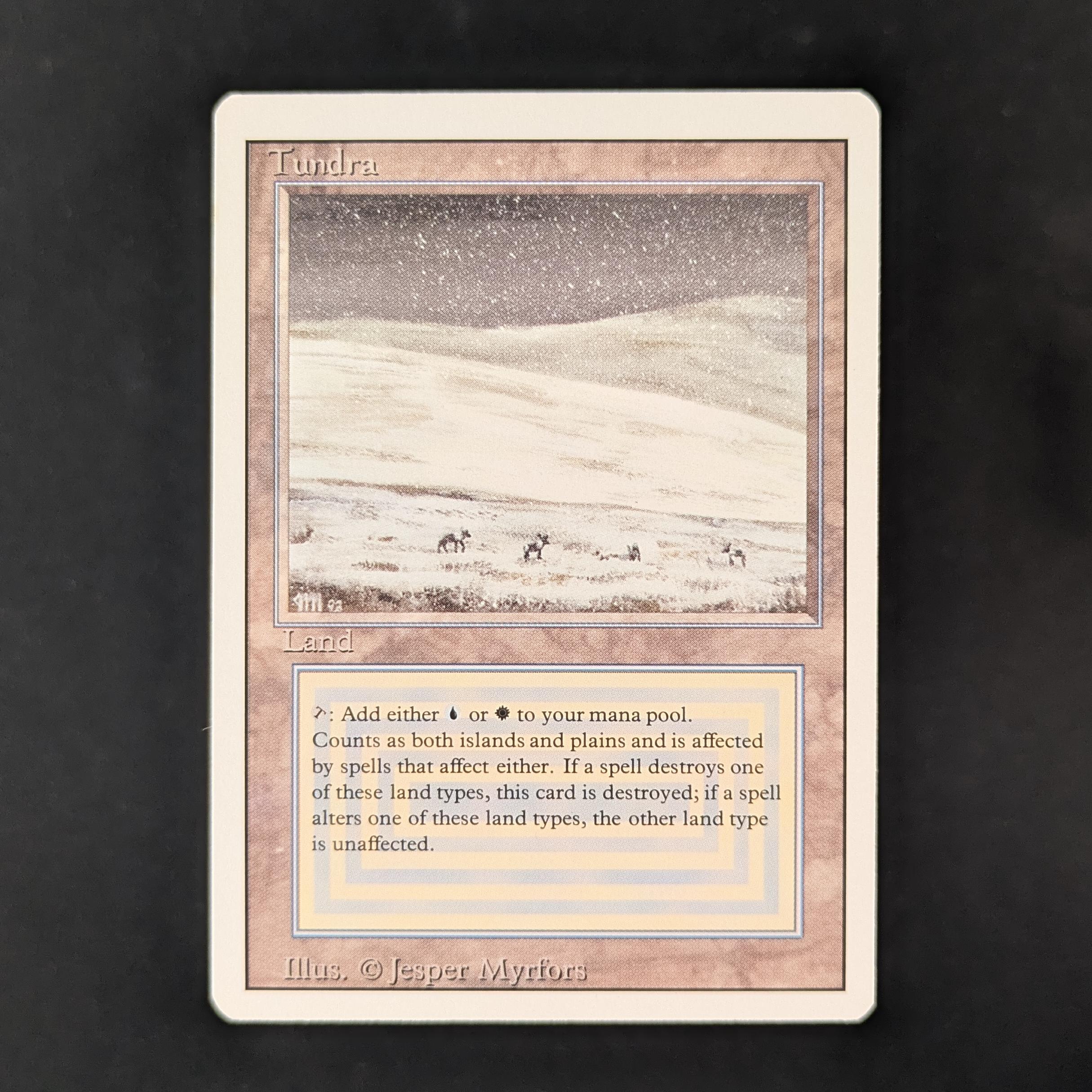 MTG Singles - Tundra - Revised - EX - 32093