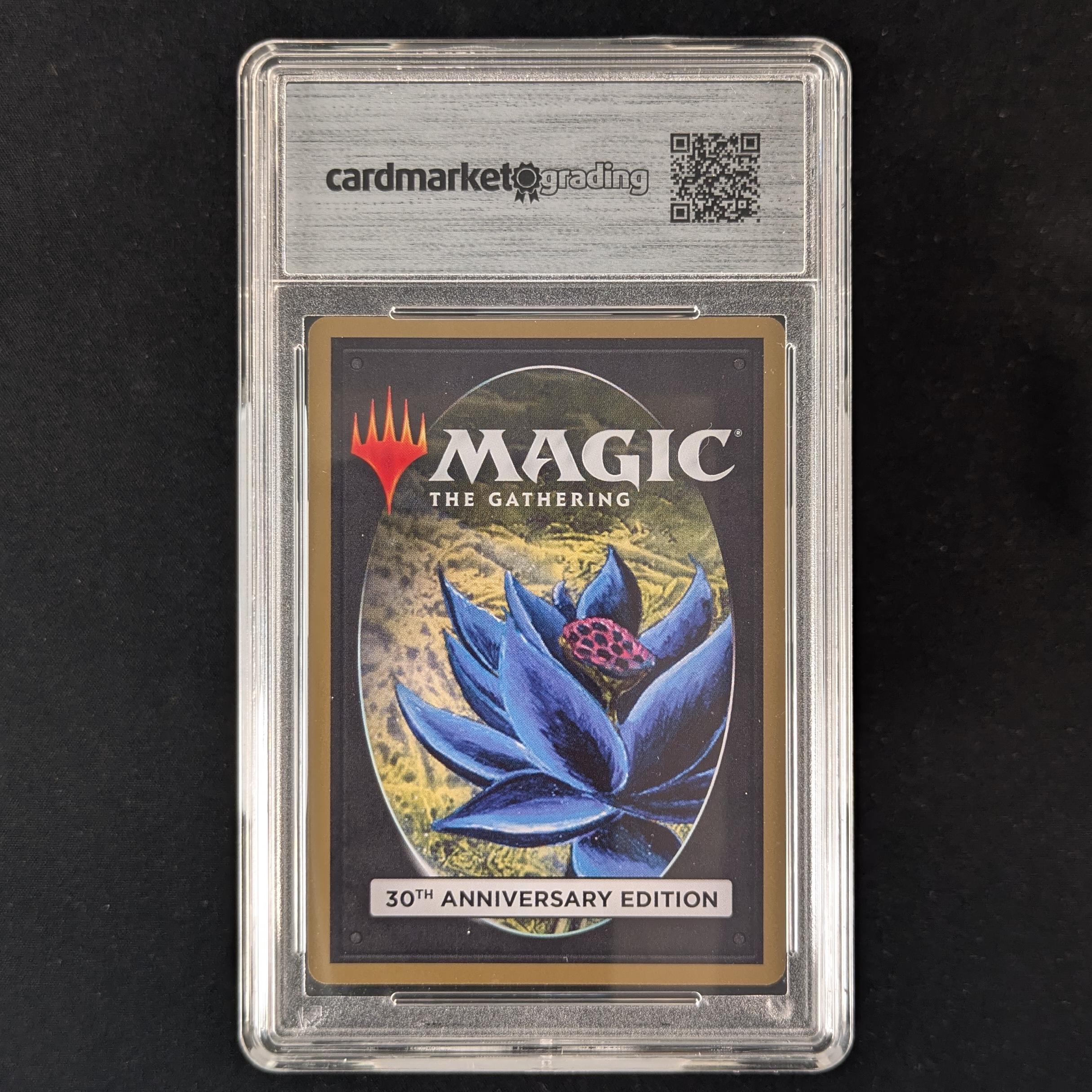 MTG Singles - Badlands (Modern Frame) - 30th Anniversary Edition -