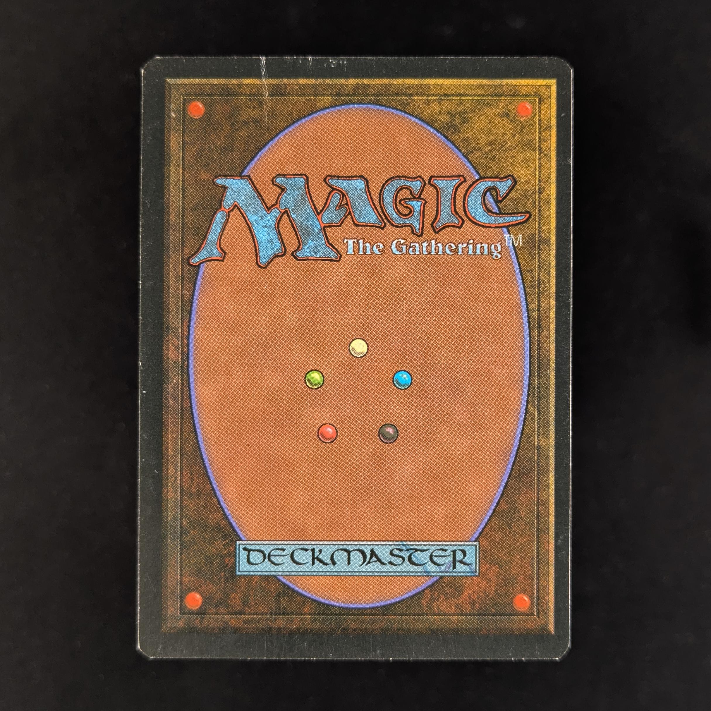 MTG Singles - Savannah - Foreign White Bordered -