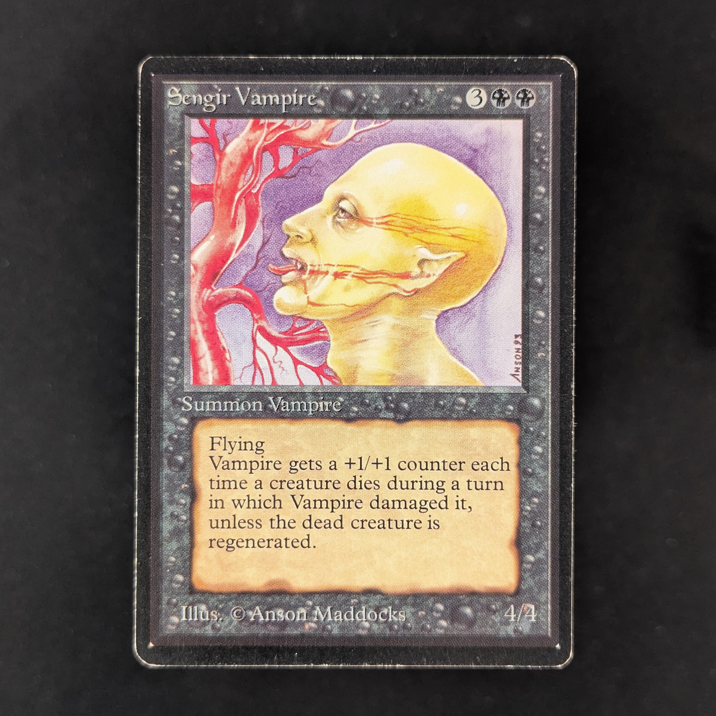 MTG Singles - Sengir Vampire - Beta - LP - 32367