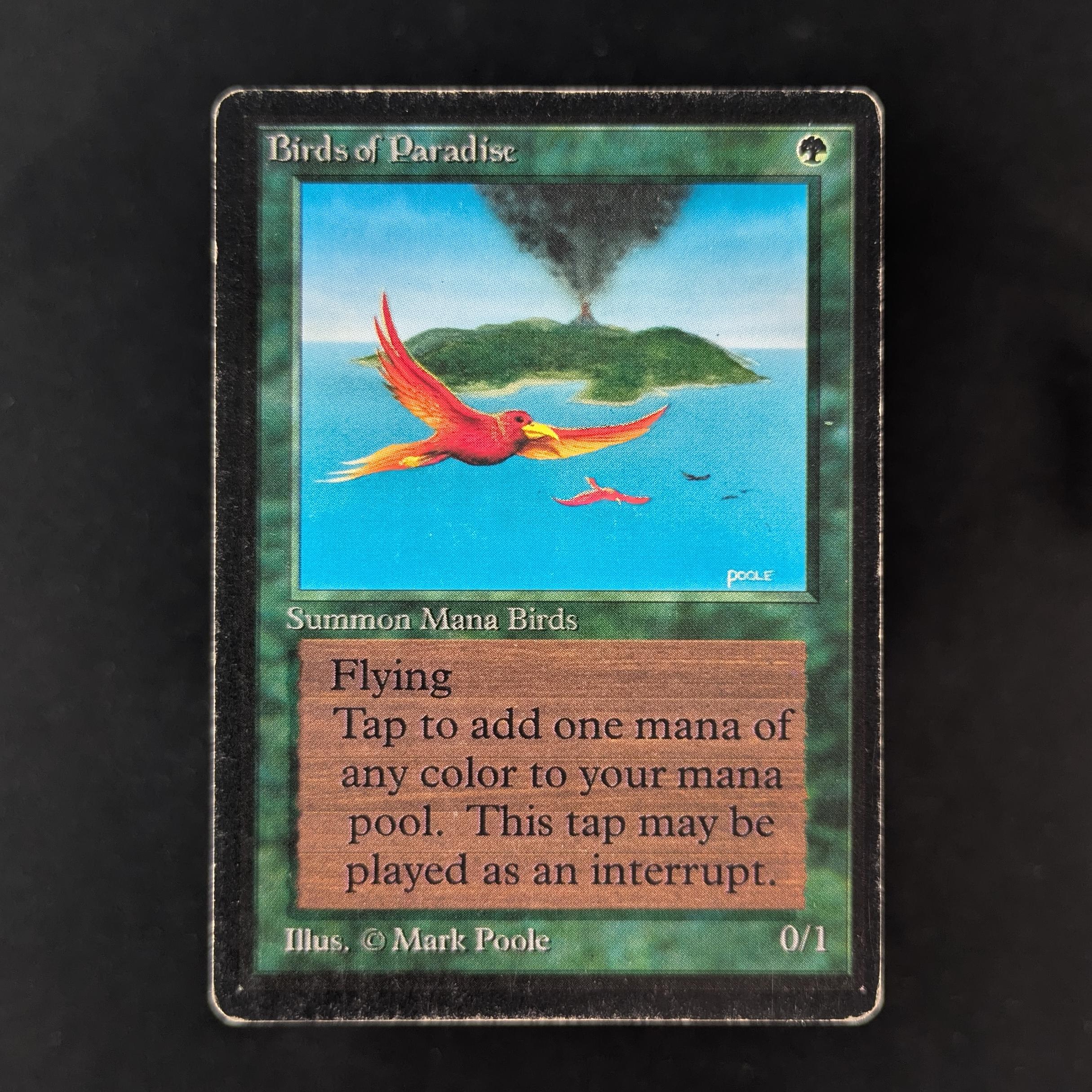 MTG Singles - Birds of Paradise - Beta - PL - 32381