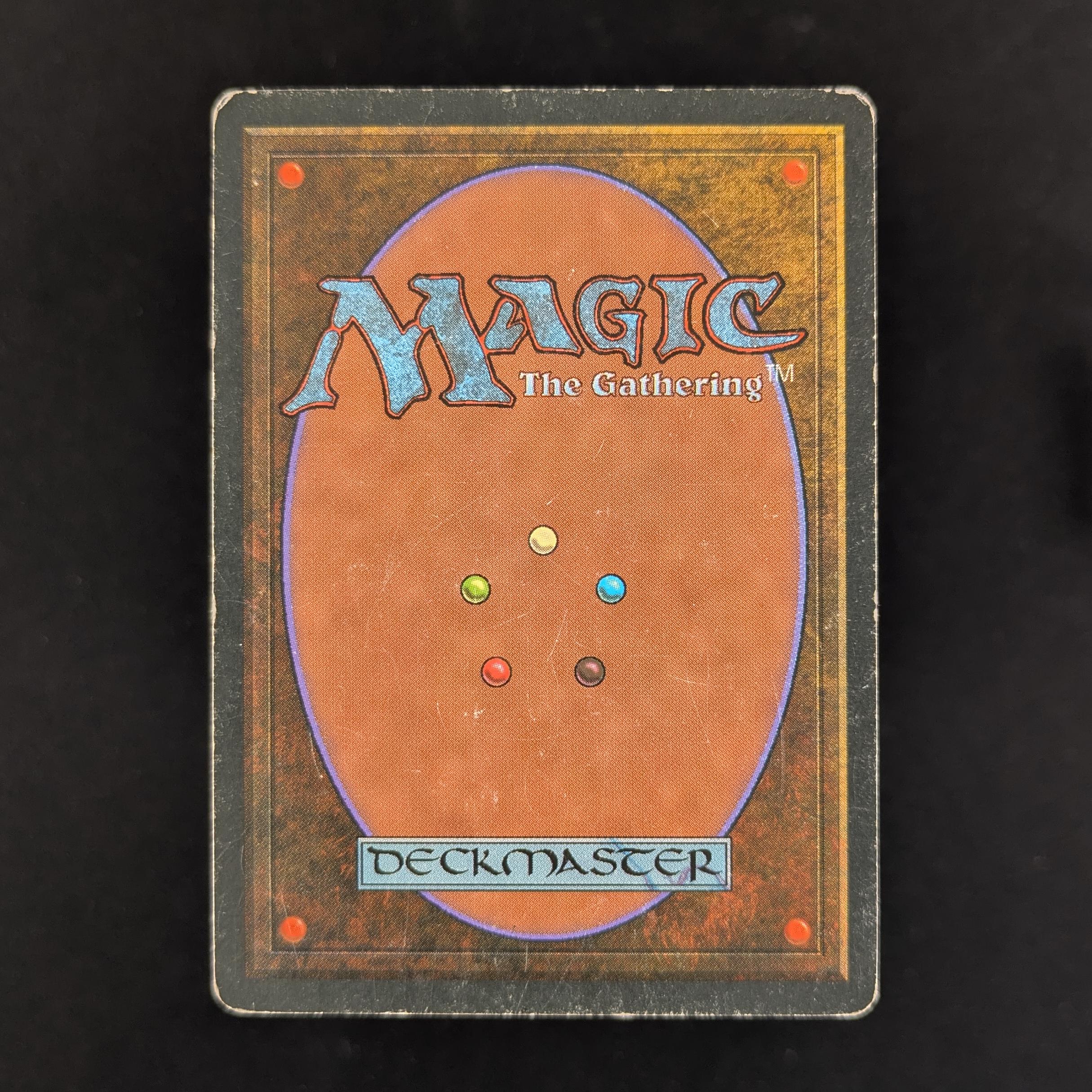MTG Singles - Bayou - Revised -