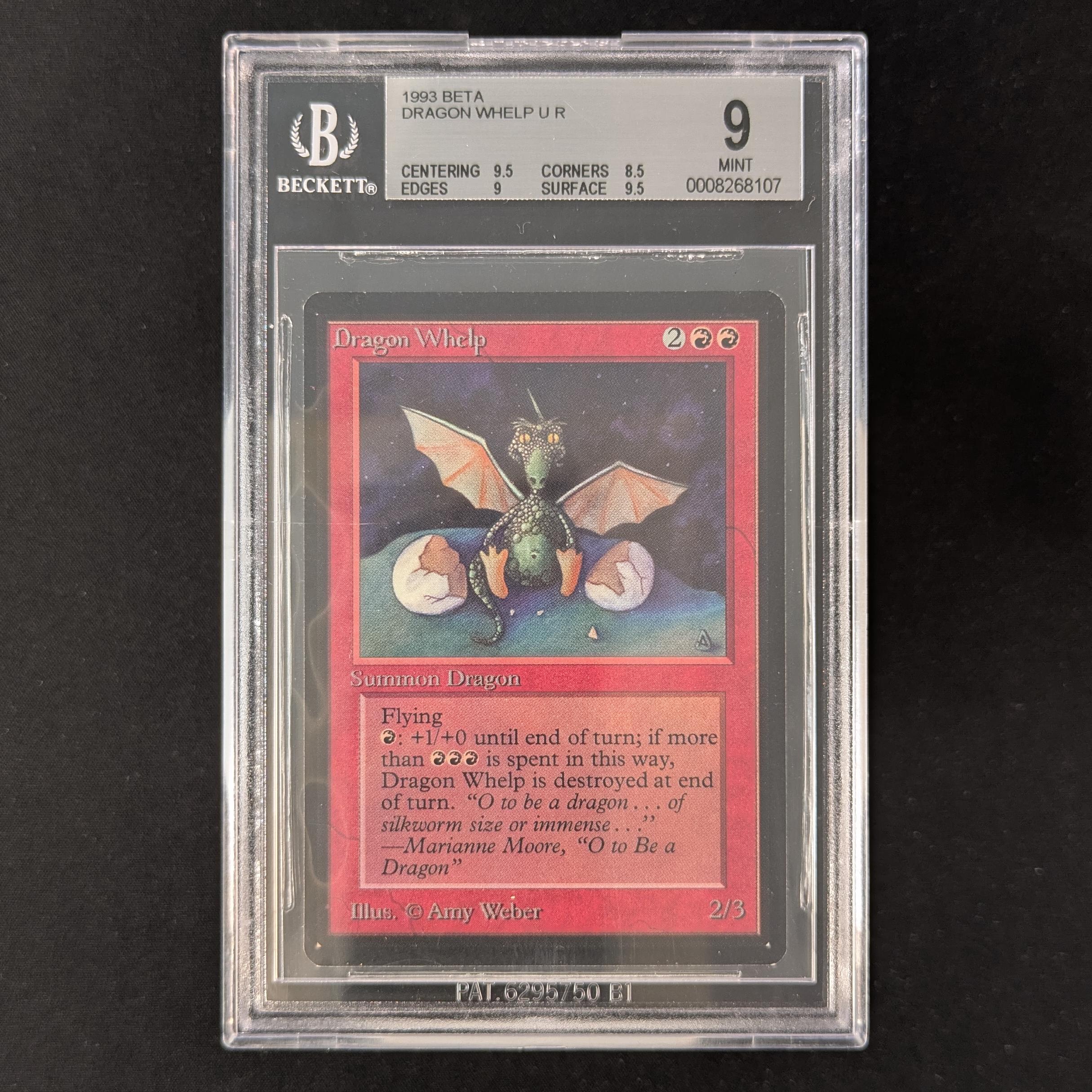 Dragon Whelp - Beta - BGS 9